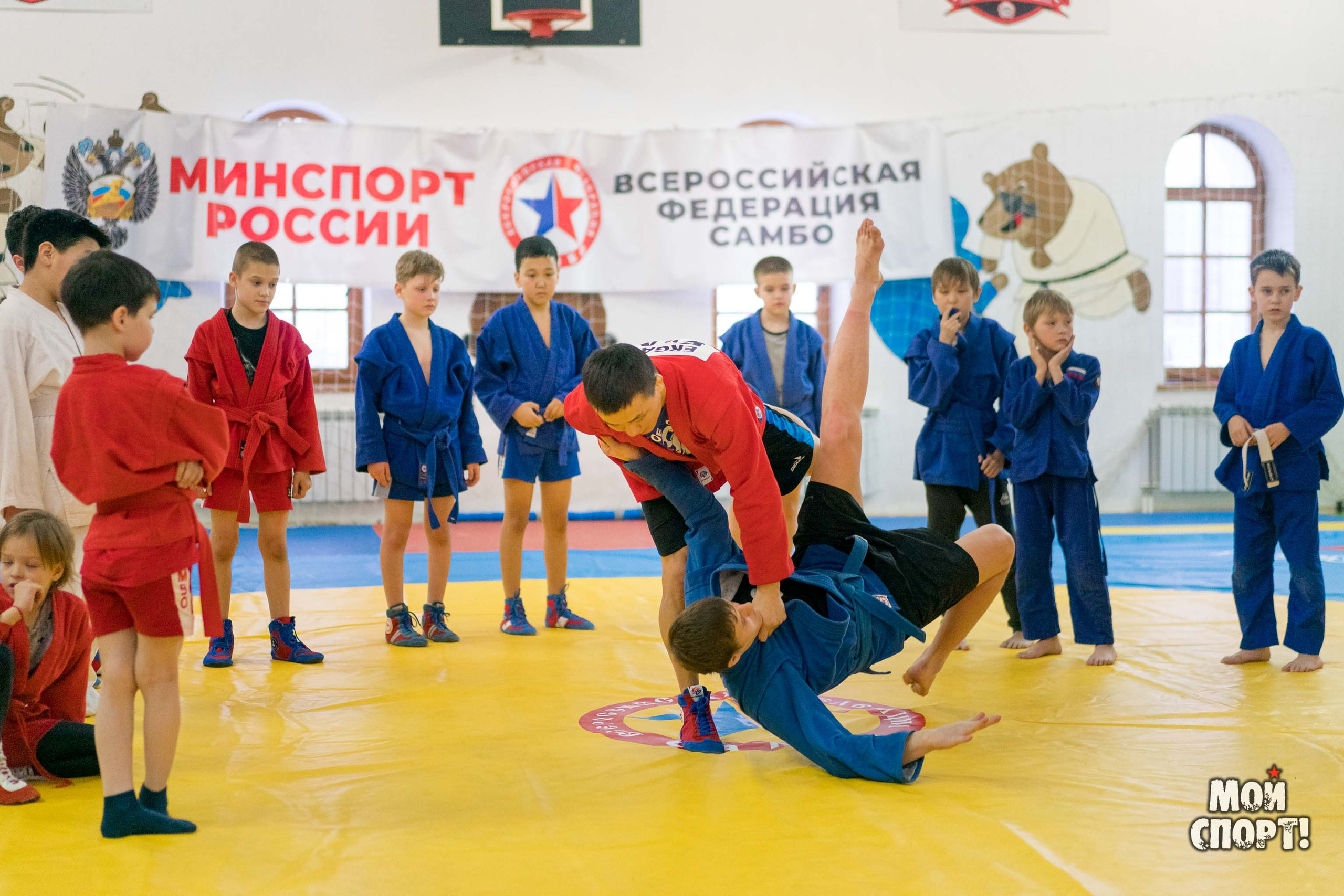 Тренировки по самбо в СК «Славутич». Студия «Мой Спорт!» — все о спорте в Якутии