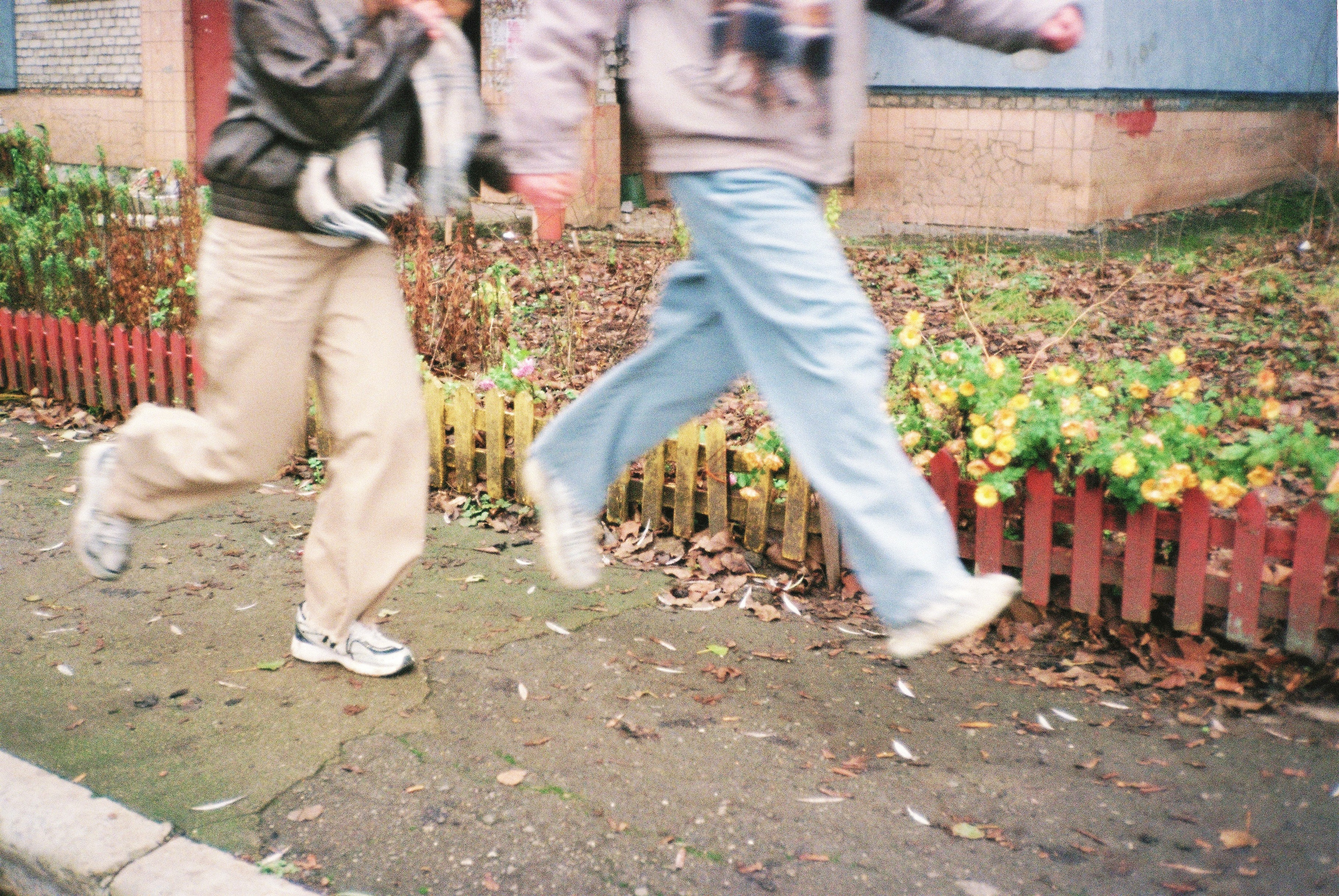 Юности нежность. • Фотограф Александра Светозар Алчевск •