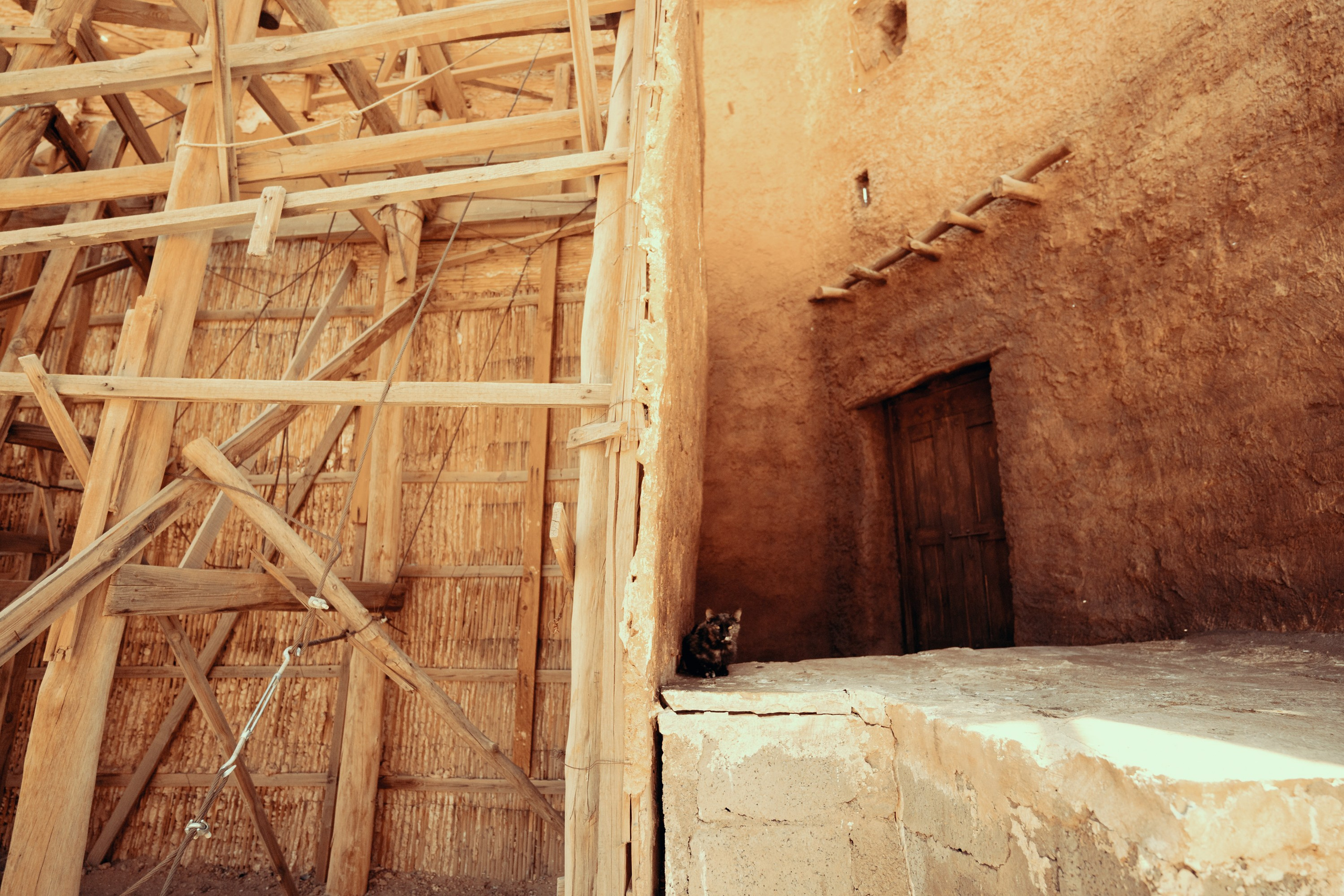 Северная Африка: Тунис, Марокко. Фотограф в Хабаровске. Фотография за 24 часа