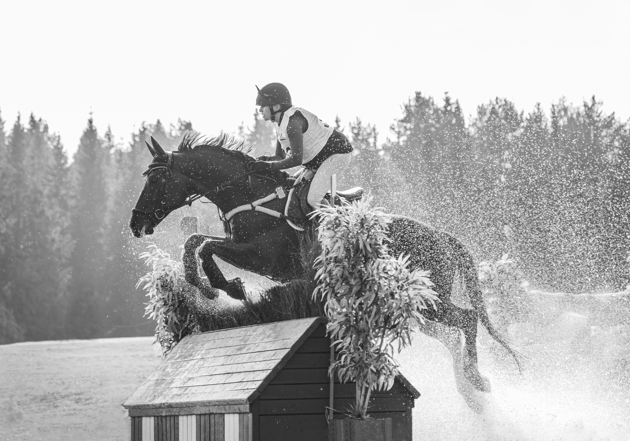 Конно-спортивный репортаж