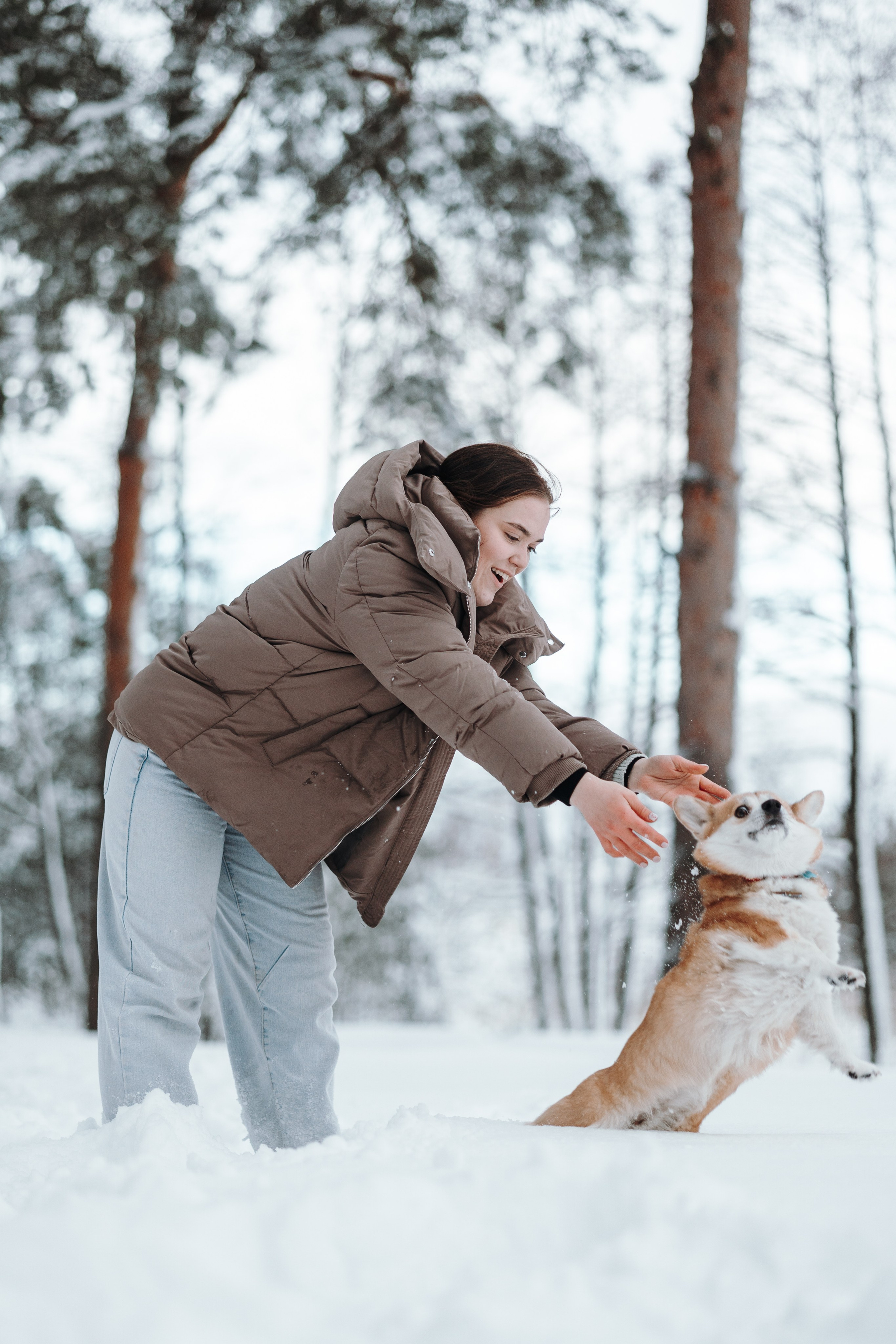 Оливка и ее семья. Фотограф — Анималист | Санкт-Петербург