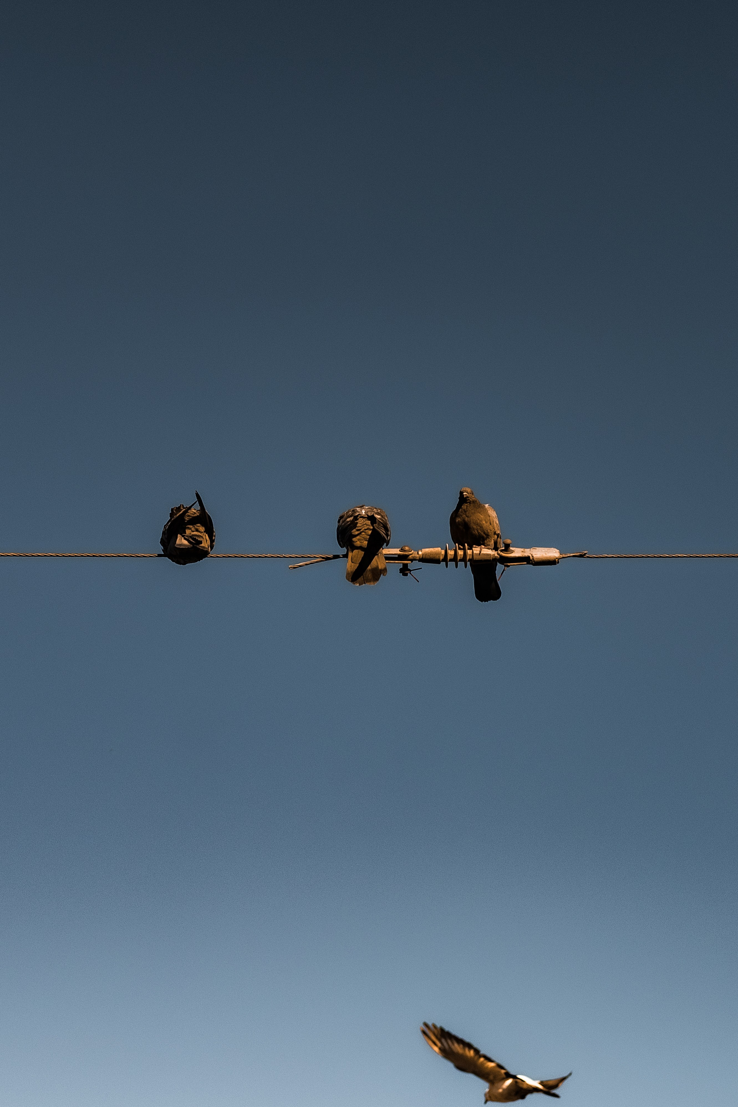 Тёплый день осени. Место {не}банальных фото