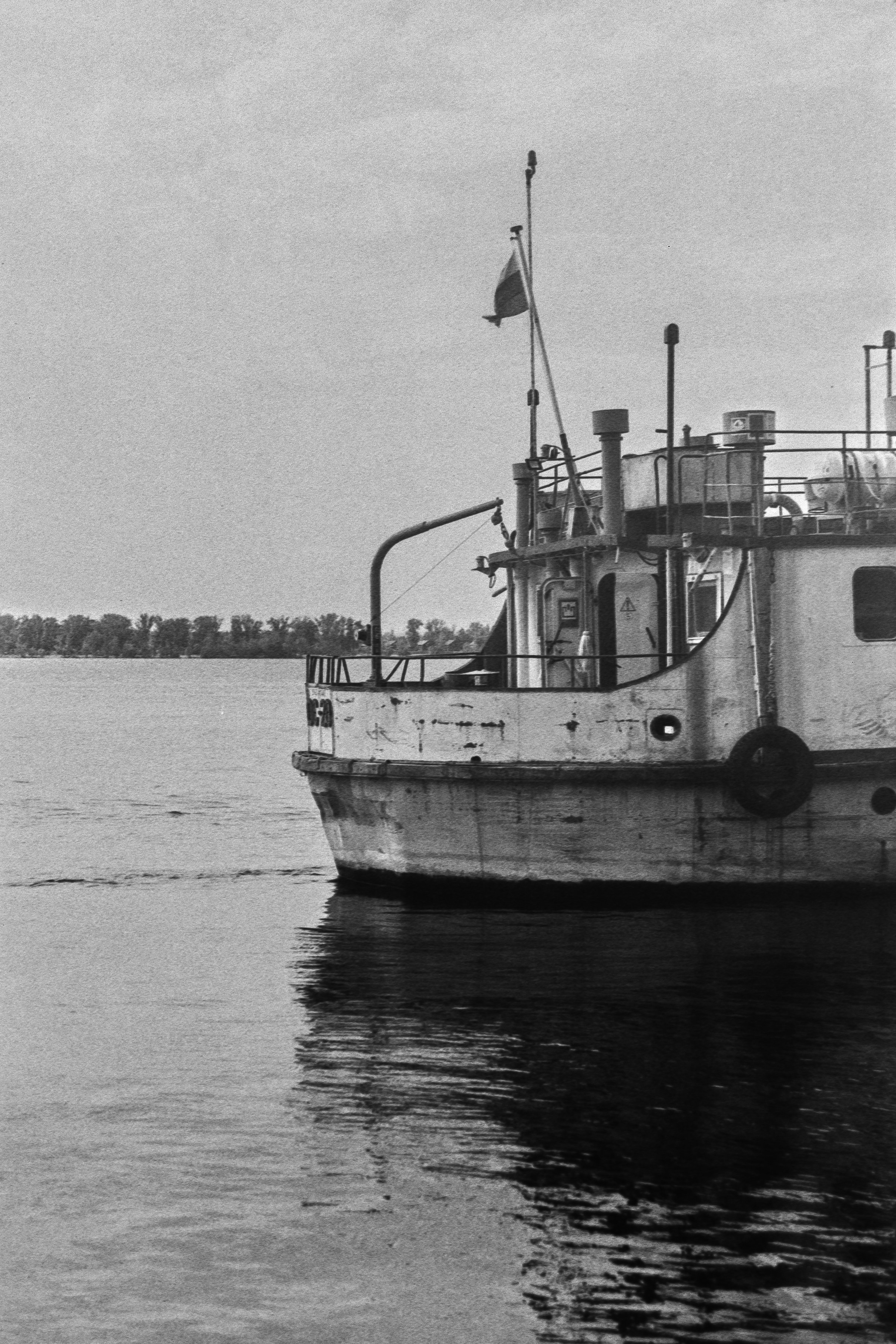 Пленочная история. Дмитрий Пропадалин, Нейрофотография