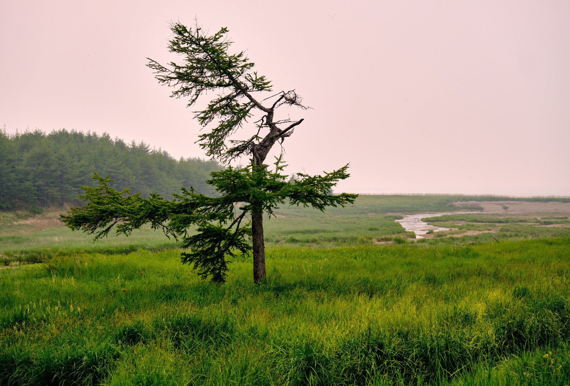 AQUATICS. Из Хабаровска до Шантарских островов. Юрий Березнюк. Фотожурналистика