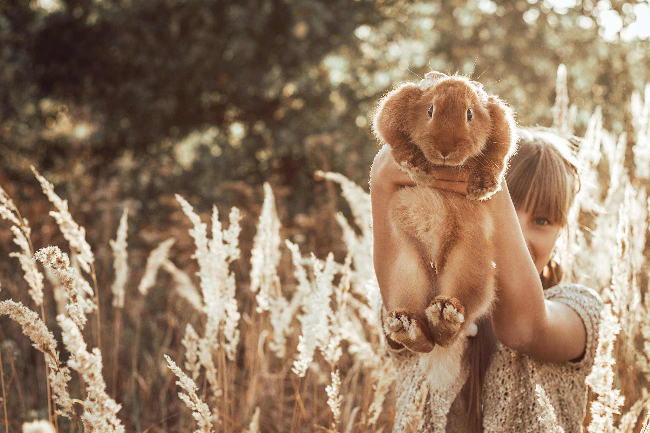 Портфолио. Вера Соколова фотограф Воронеж