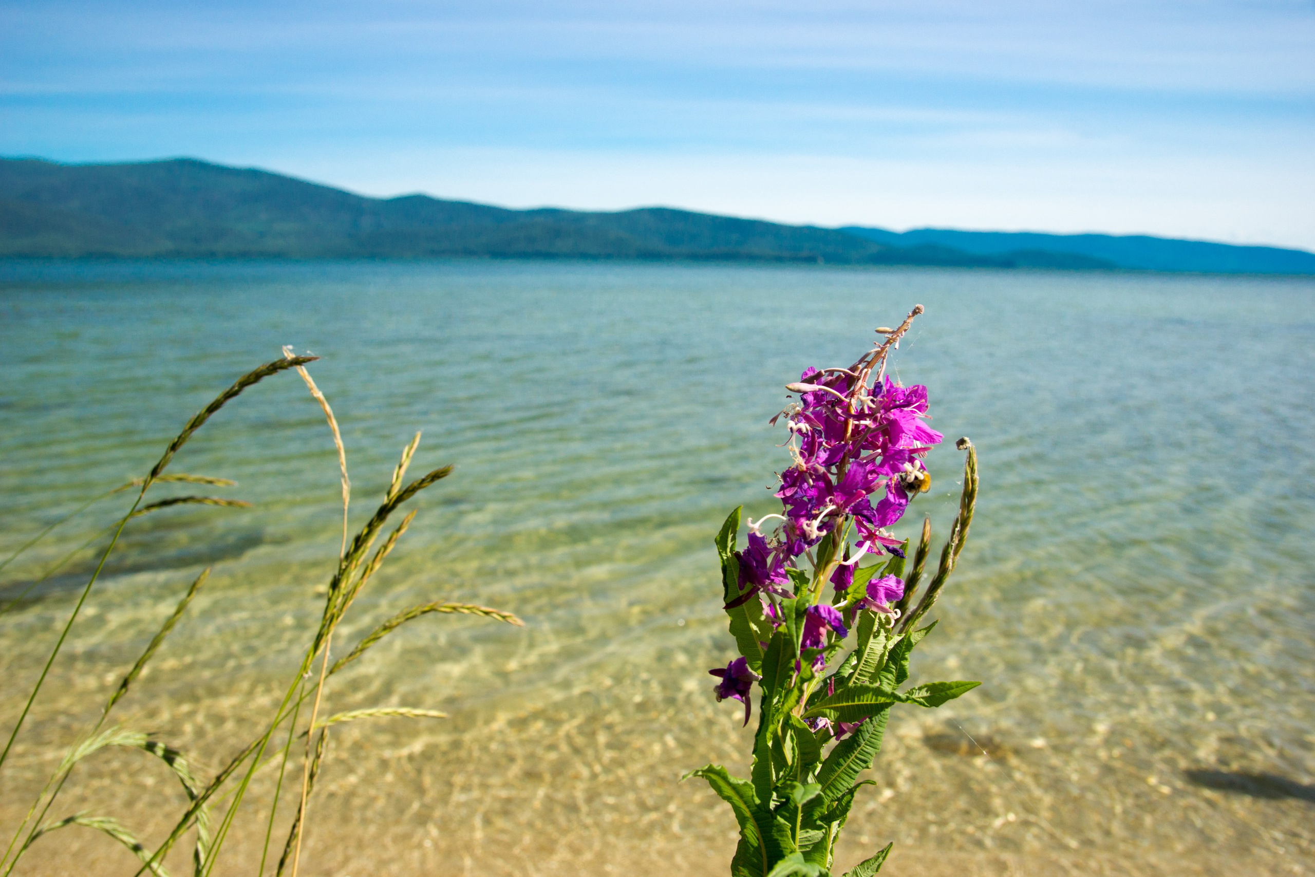 Фотографии озера Байкал. Петр Ступень. Свадебное, семейное фото и видео. Москва. Краснодар