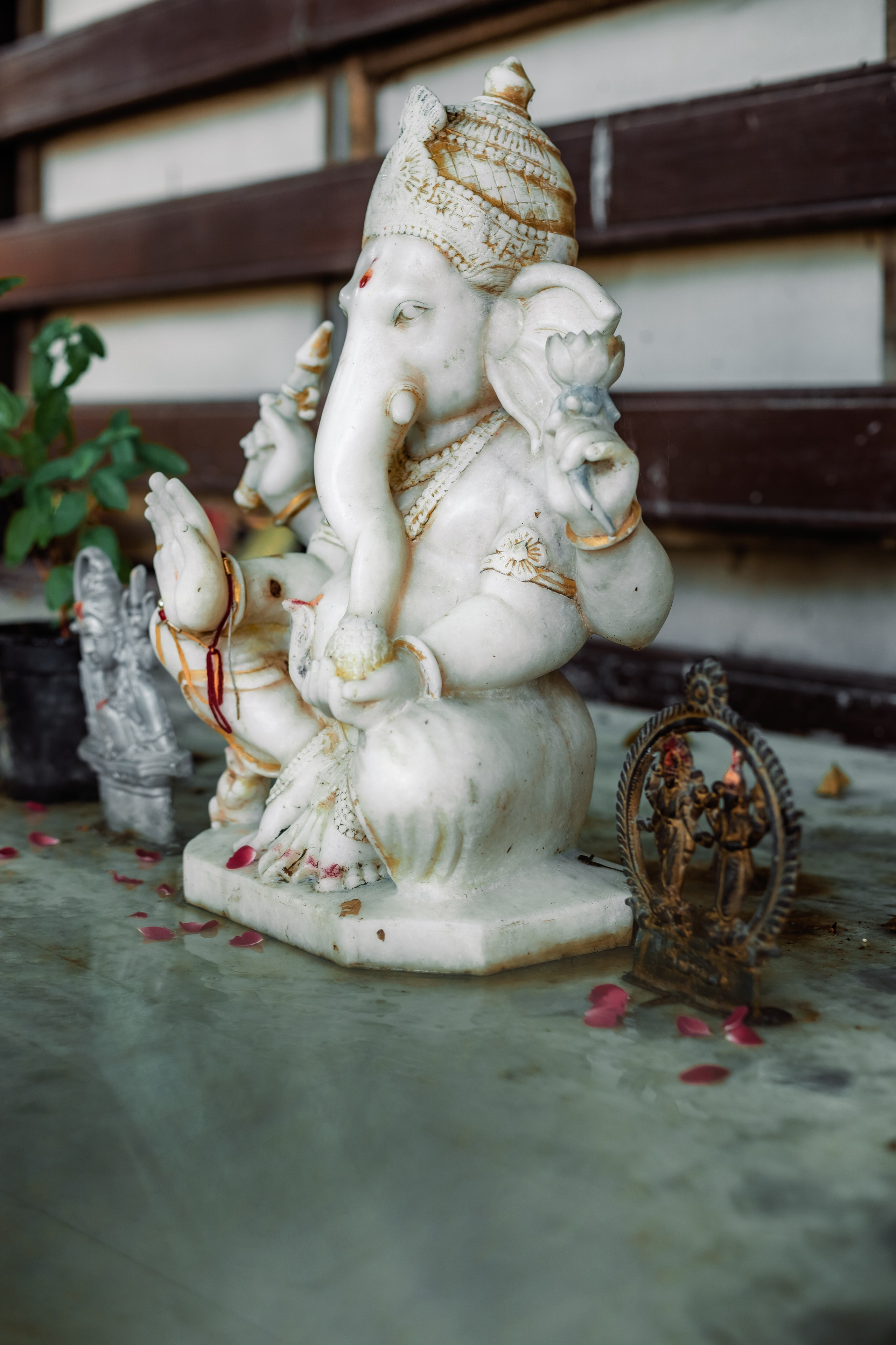 Devraha baba ji ashram life 2025. Mariam Bagdasaryan