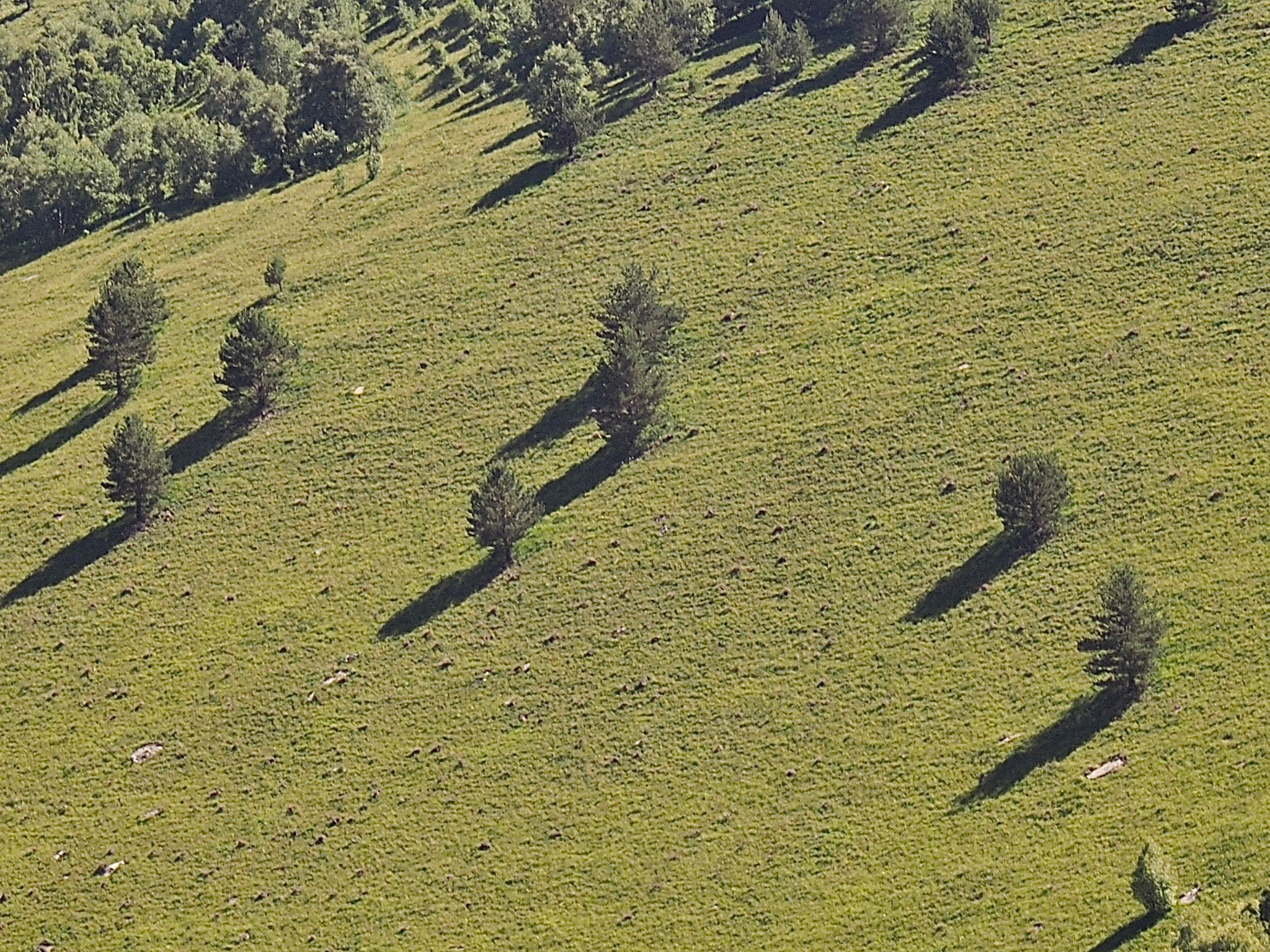 Пейзажи. Смотри, красота!