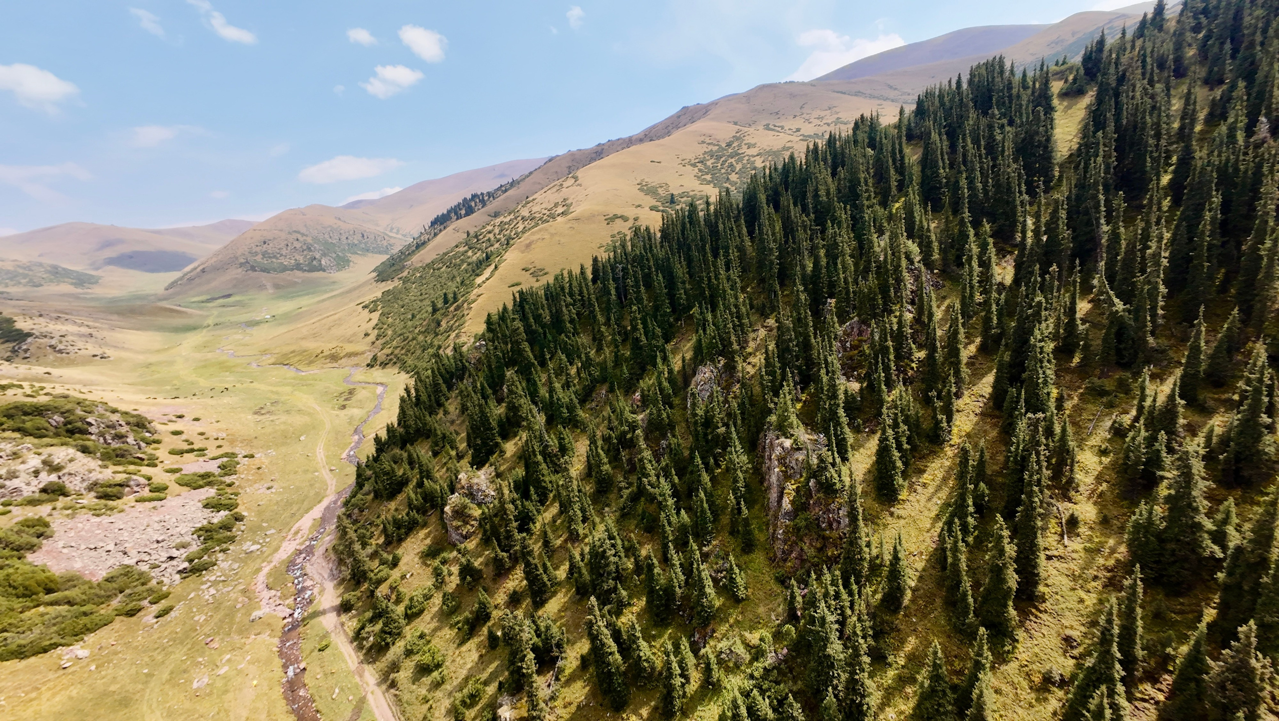 Поездка на плато Ассы и за пределами. Экскурсии и туры по Алматы