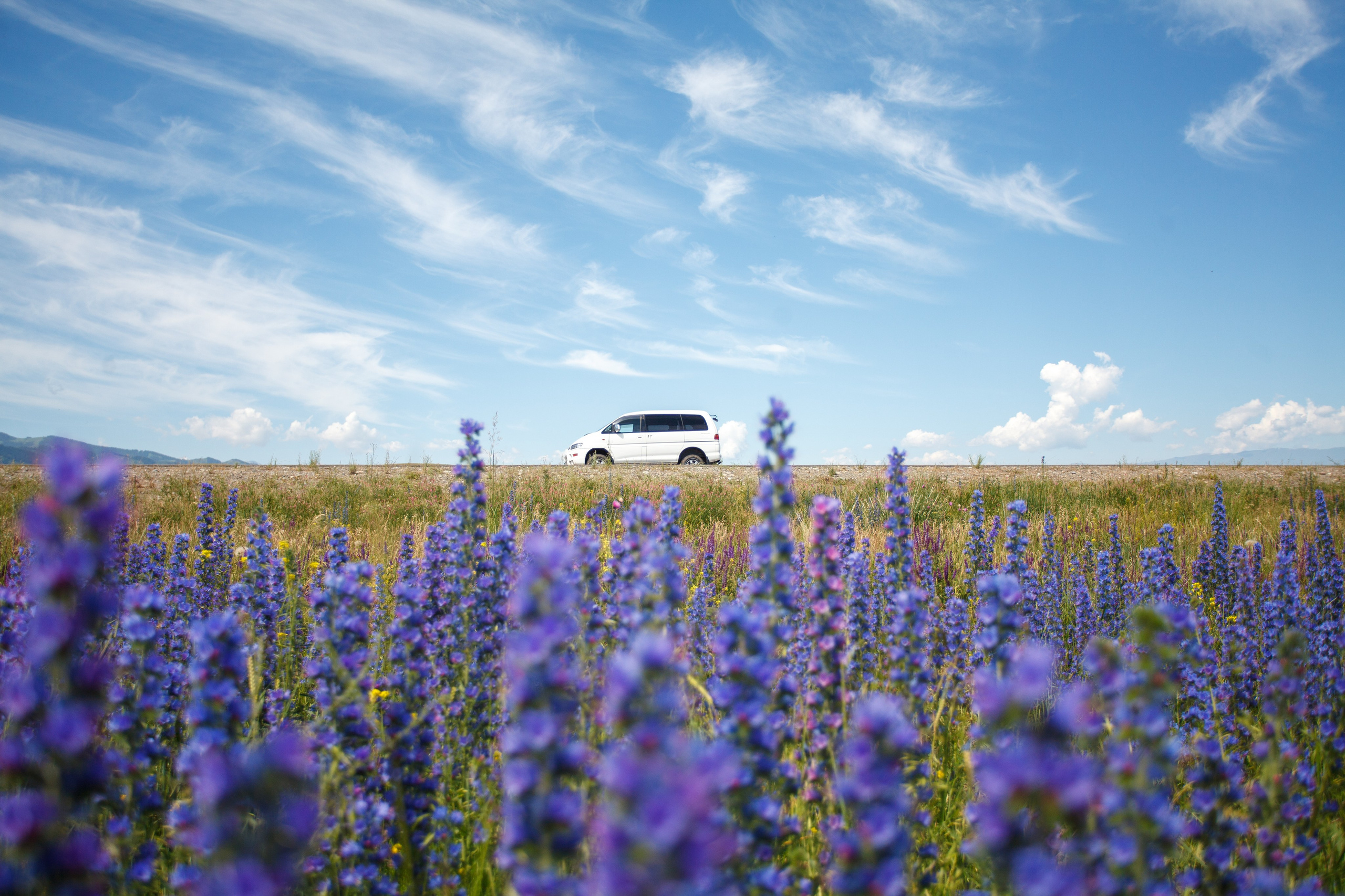 Весна. Экскурсии и туры по Алматы