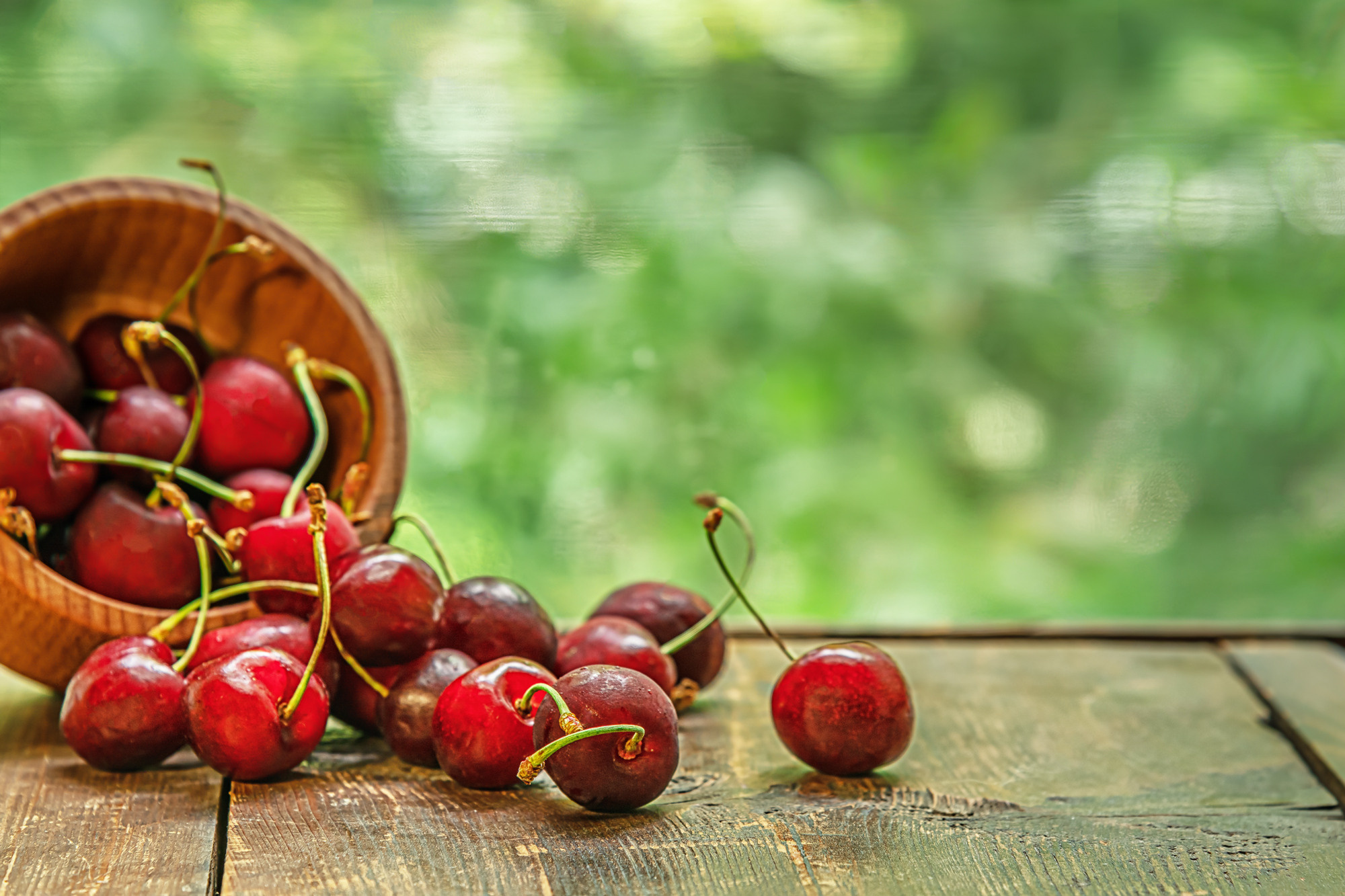 Food. Мария Абаза, фотограф. Реховот, Израиль