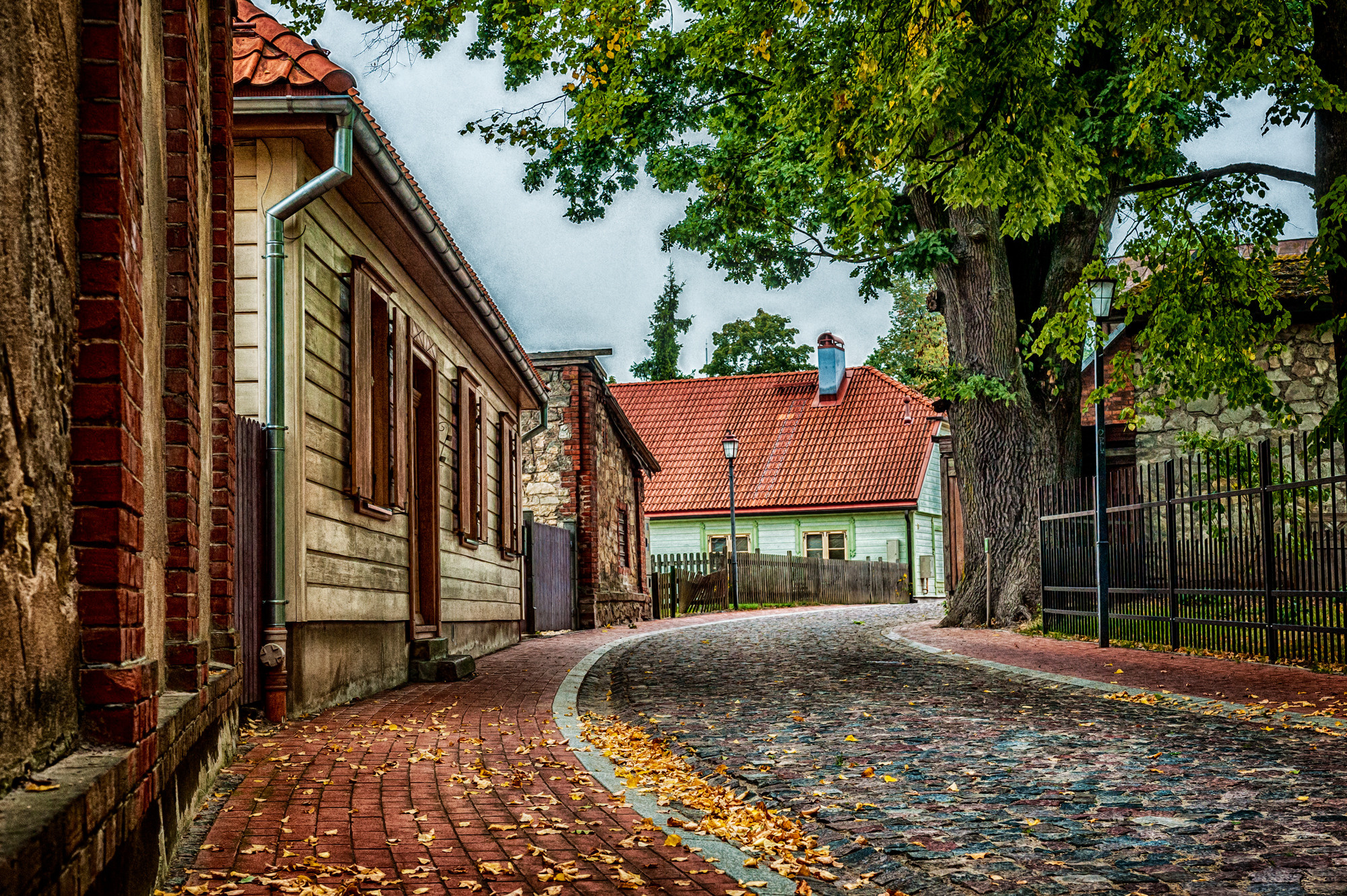 Photos for relax. Мария Абаза, фотограф. Реховот, Израиль