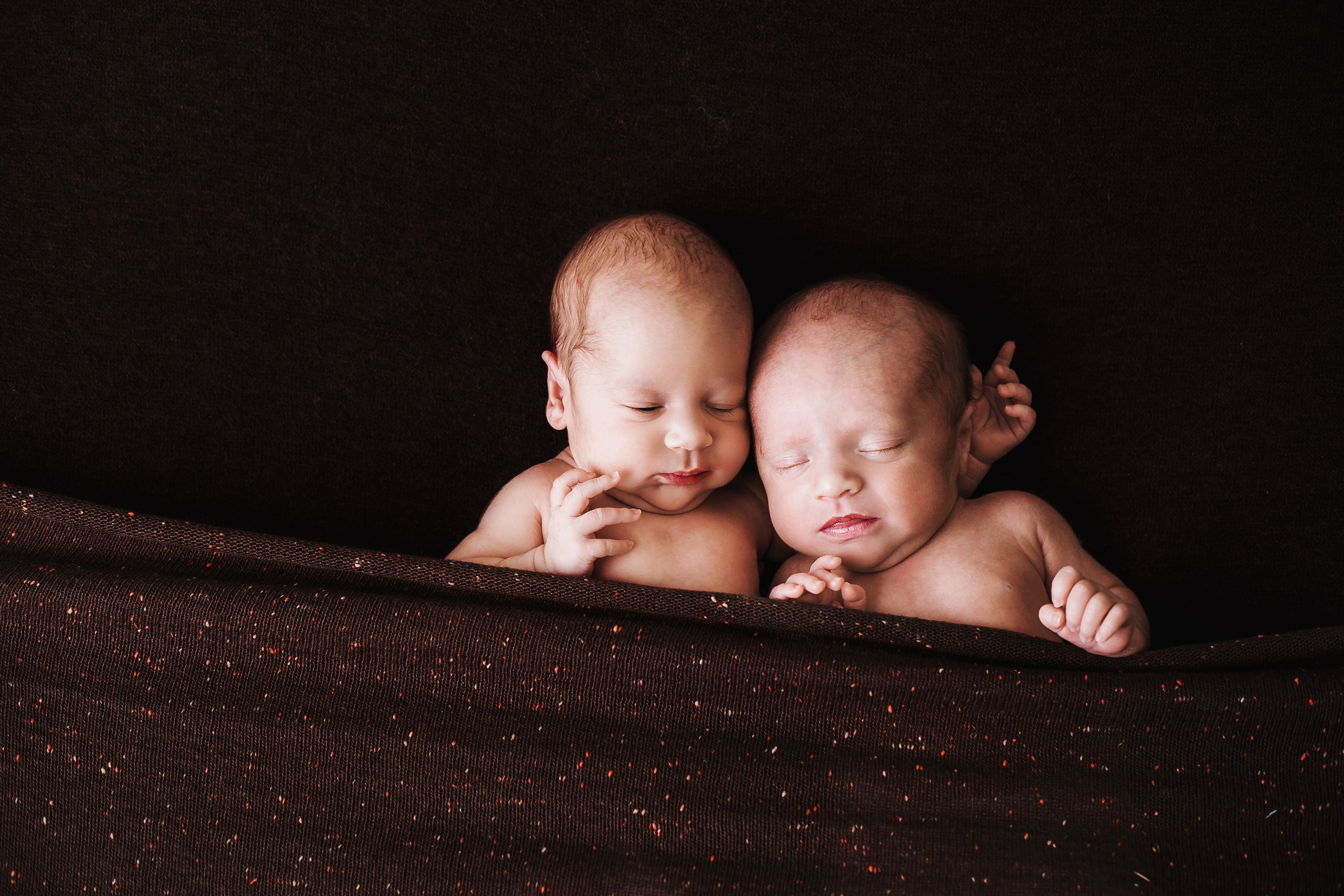 Таисия и Есения, пакет «Стандарт», 21 день. Фотограф новорождённых Екатерина Боброва. Ульяновск