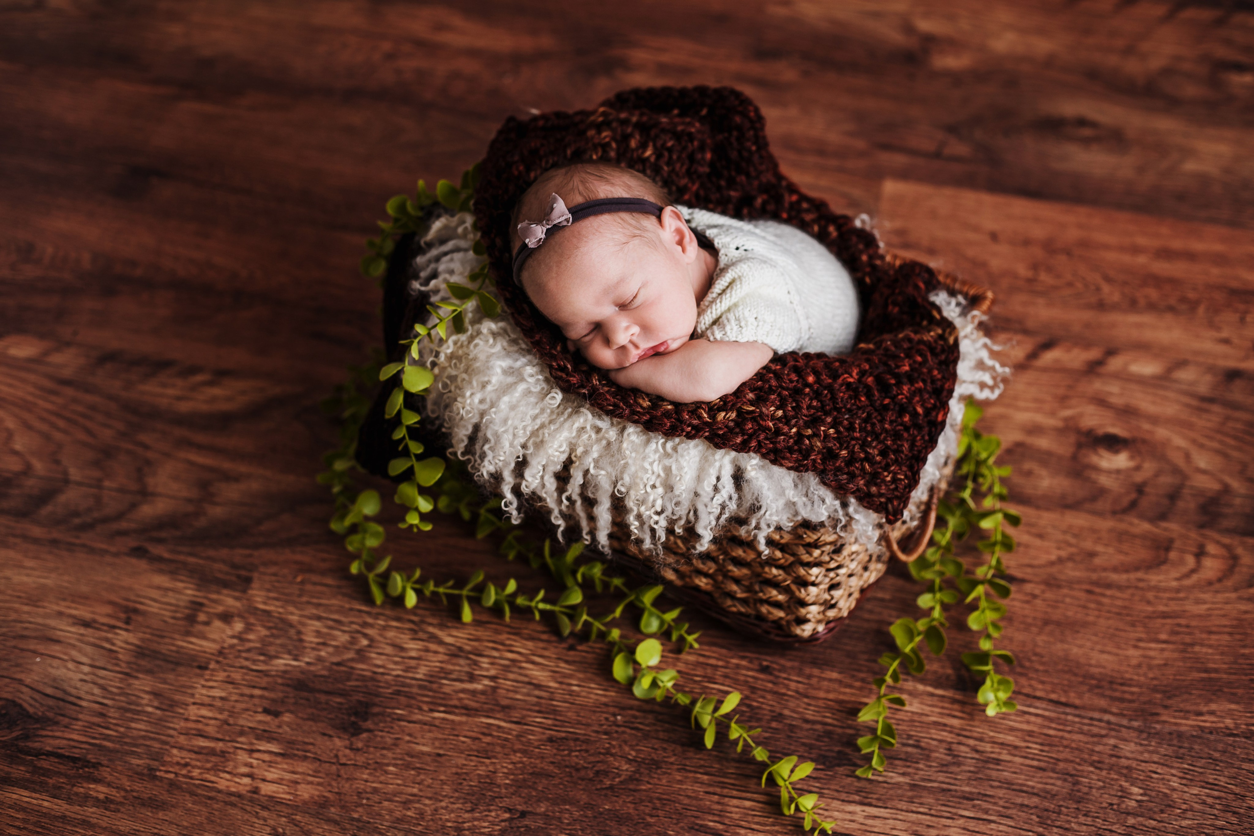 Таисия и Есения, пакет «Стандарт», 21 день. Фотограф новорождённых Екатерина Боброва. Ульяновск