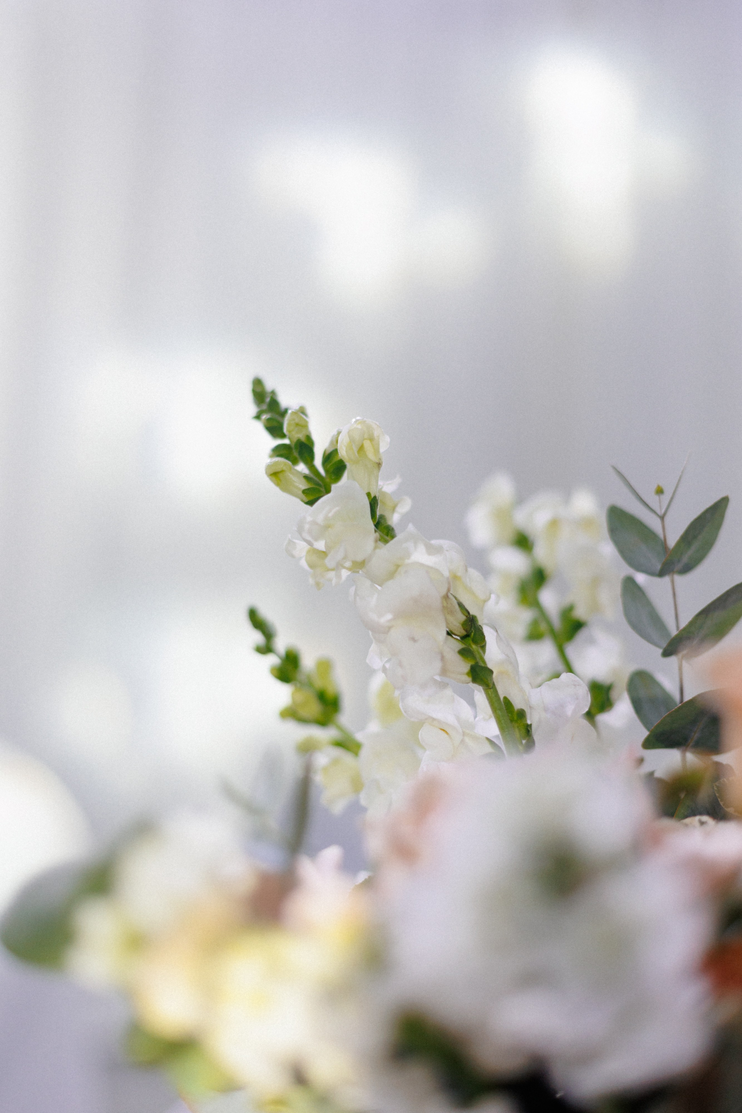 Кирилл & Арина. Свадебный и семейный фотограф Татьяна Селезнева