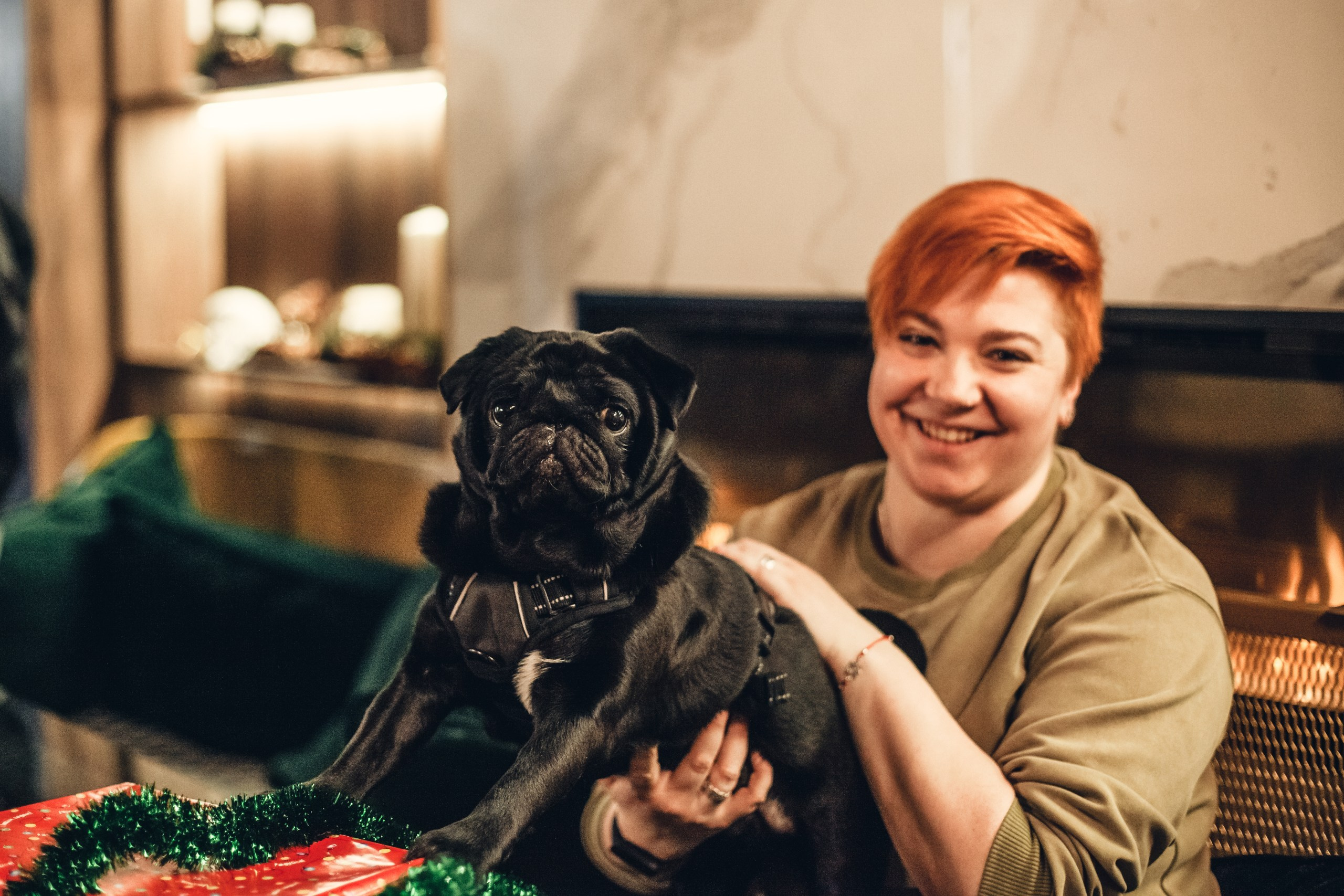 Мопсовстреча 02.12.2023. Фотограф-анималист Татьяна Степанова