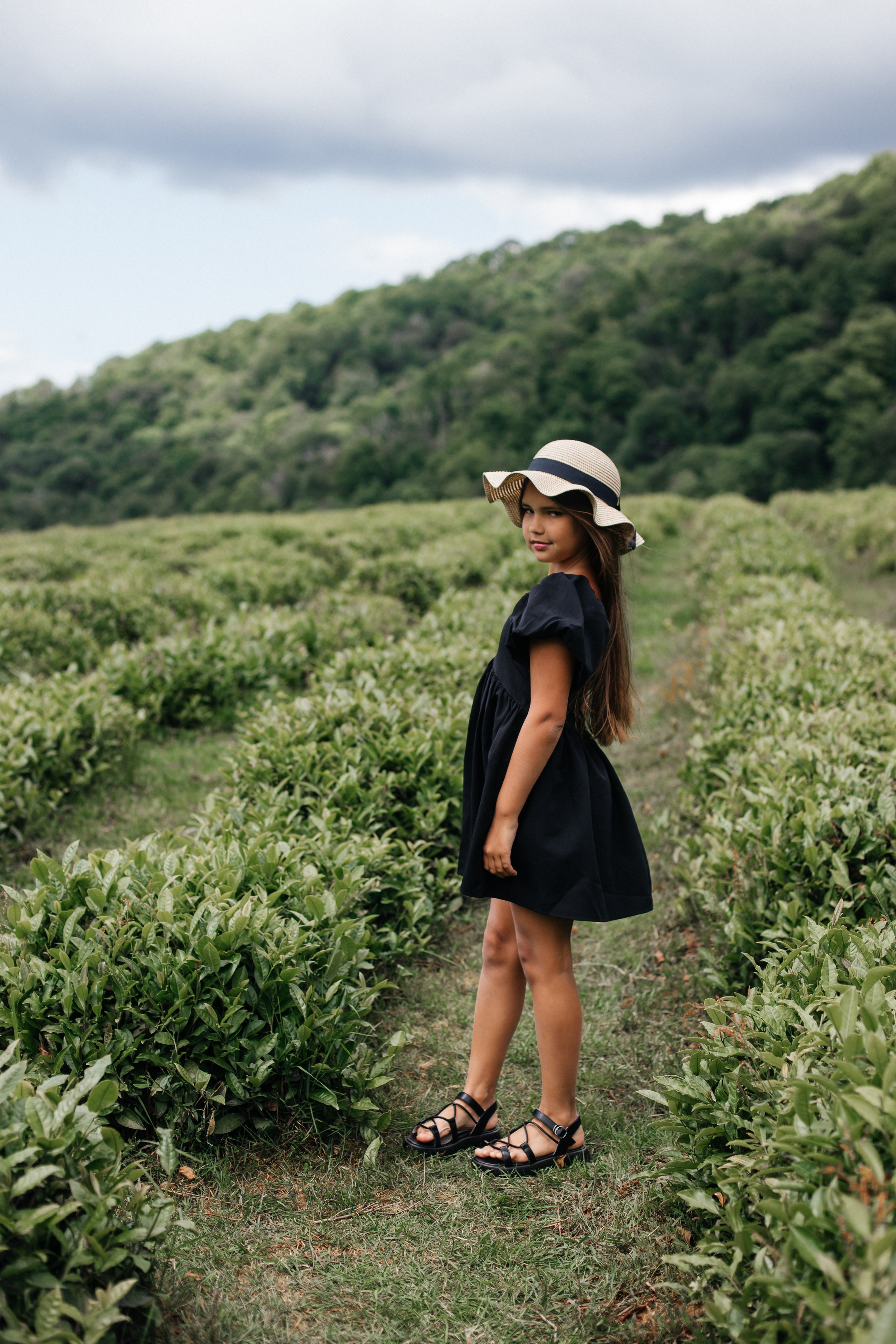 Tea plantation. Efimova Model Agency