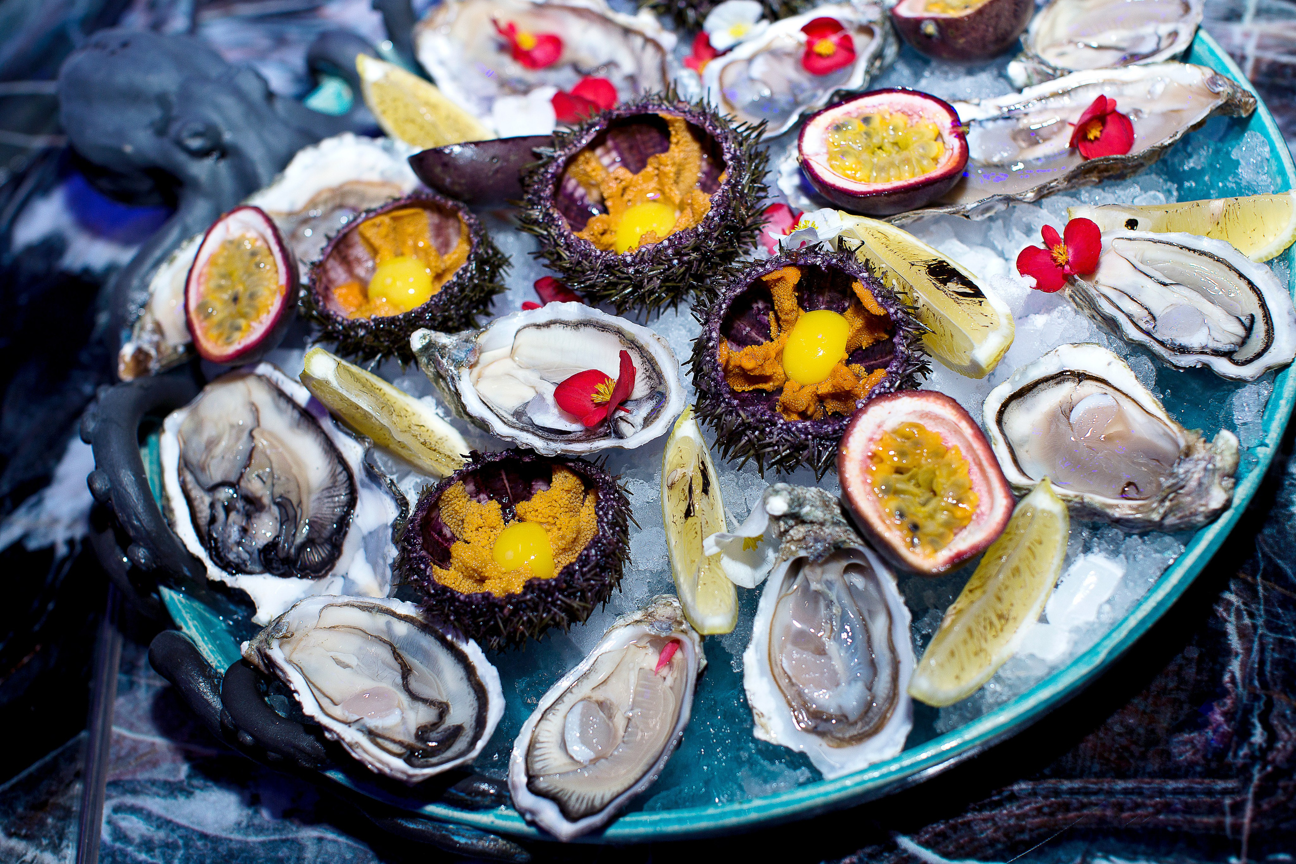 Контент — съёмки. Интерьерный фотограф в Сочи Локтева Светлана