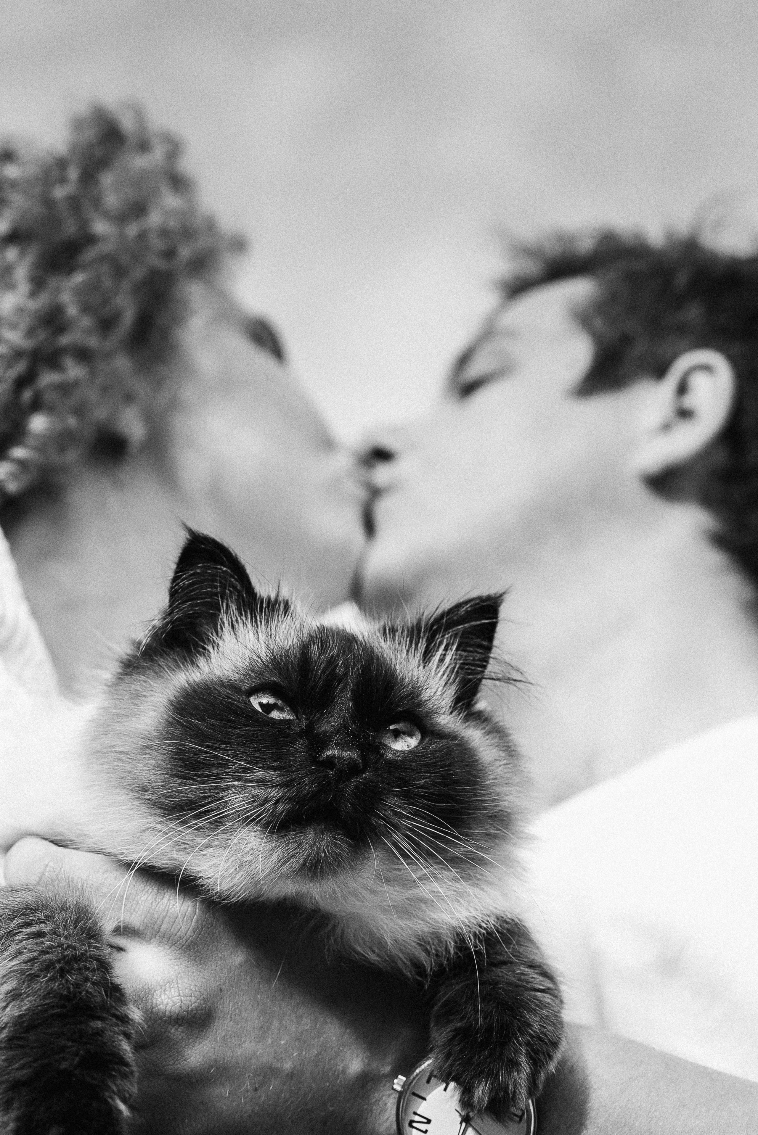 Иван и Алиса. Сергей Шумаков | Свадебный фотограф Москва