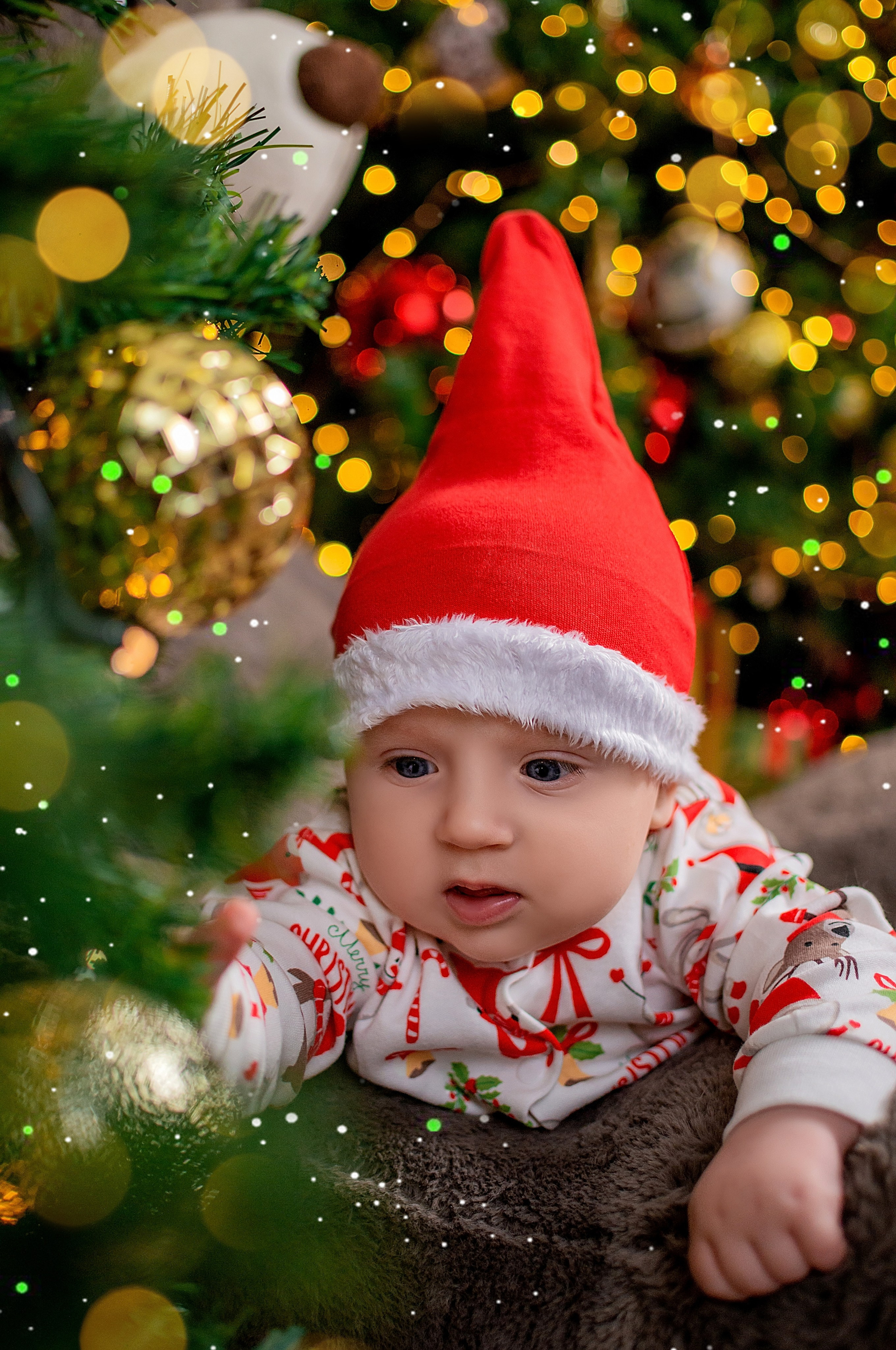 Новогодняя семейная фотосессия в Краснодаре 2023-2024. Фотограф новорожденных Краснодар Малышенко Надежда