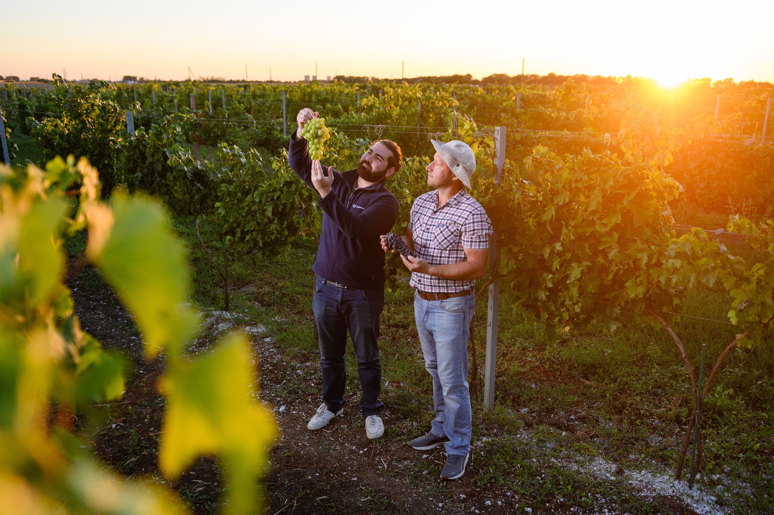 Проекты. Профессиональный фотограф Вячеслав Плацында | Липецк |