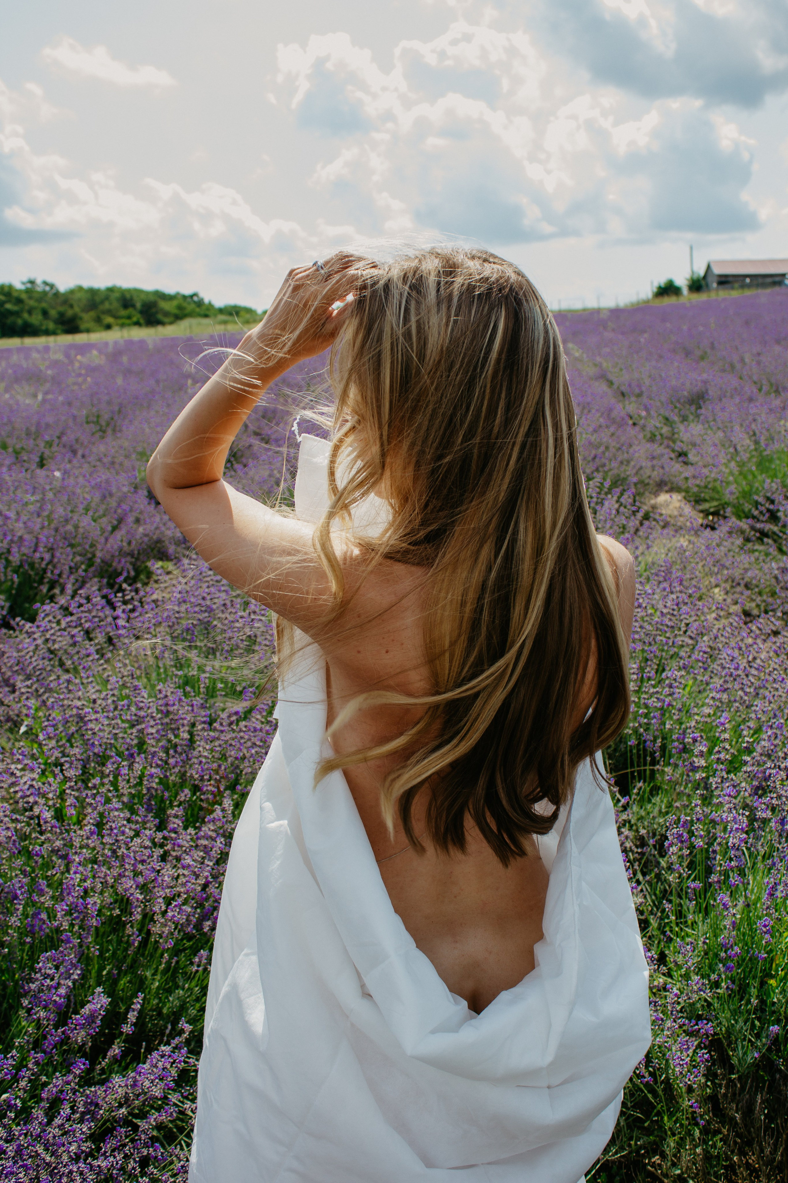 Лаванда. Главная