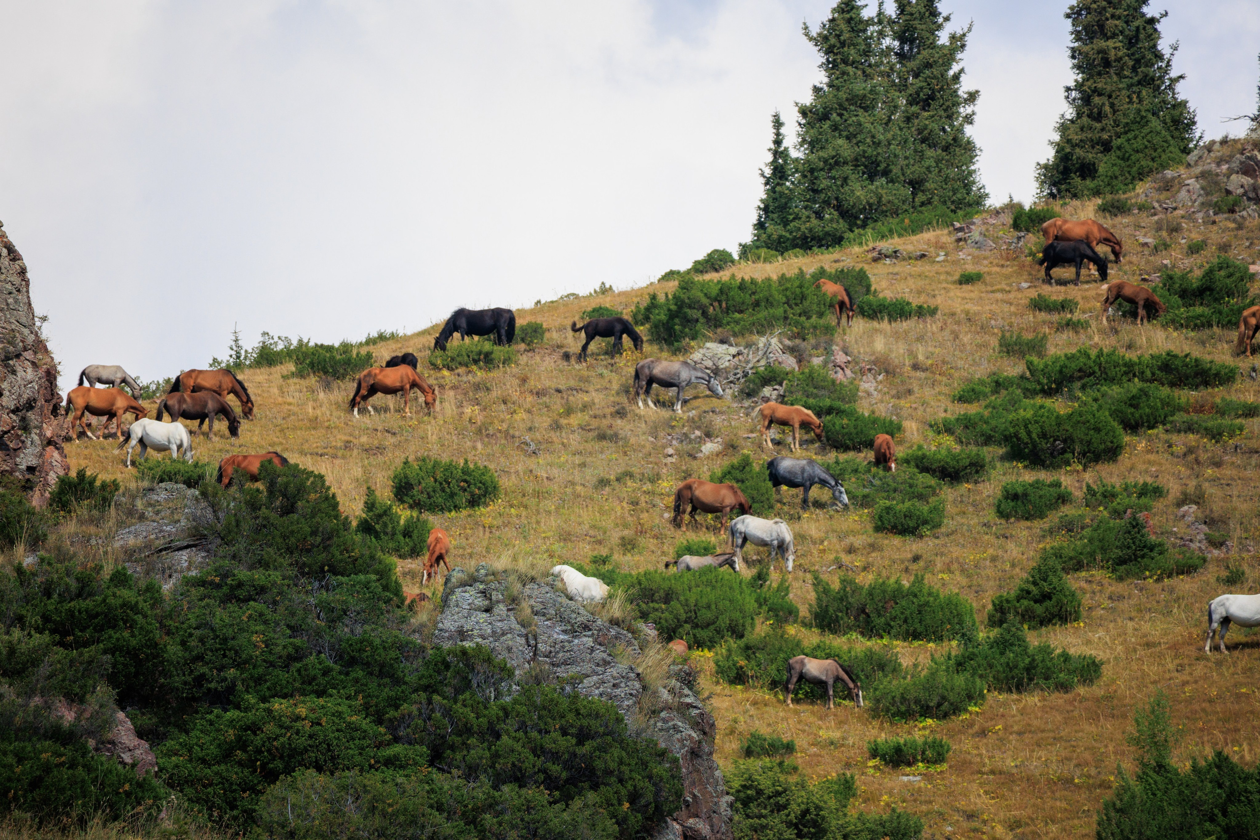 Плато Ассы, озеро Иссык и водопад: комфорт-маршрут, джипы, мини-группа. Экскурсии и туры по Алматы