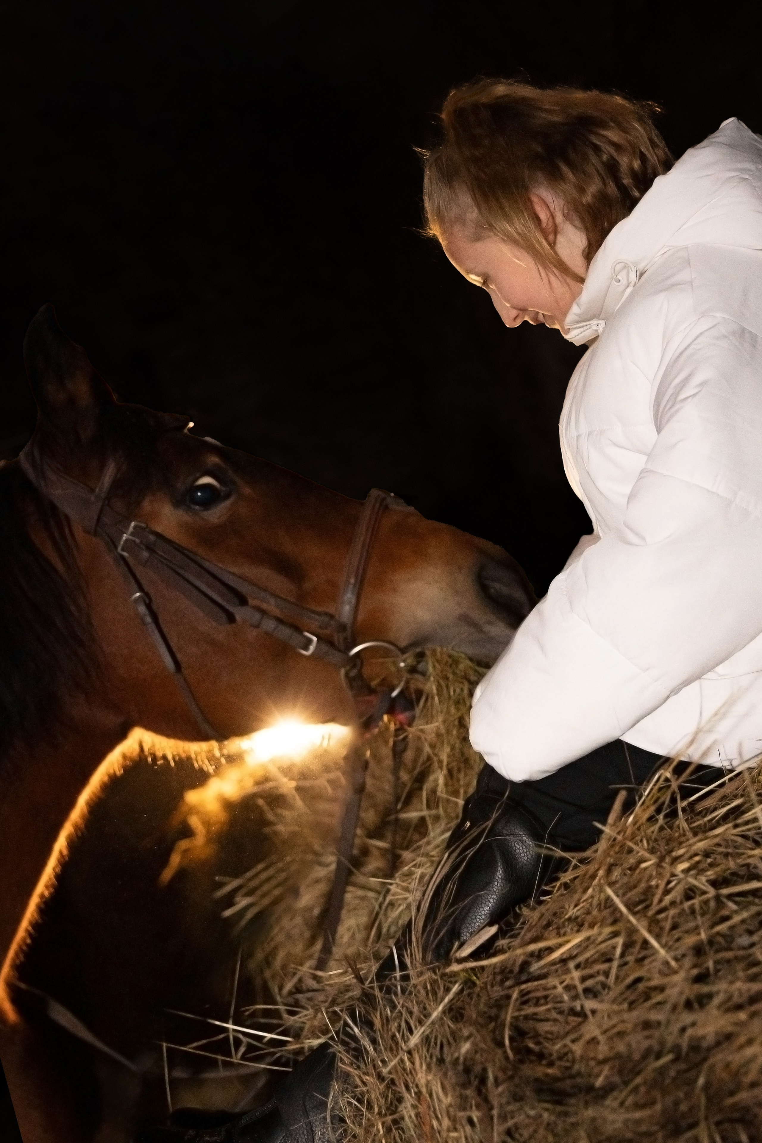 Лошади. Ваш фотограф в Москве и области Юлия
