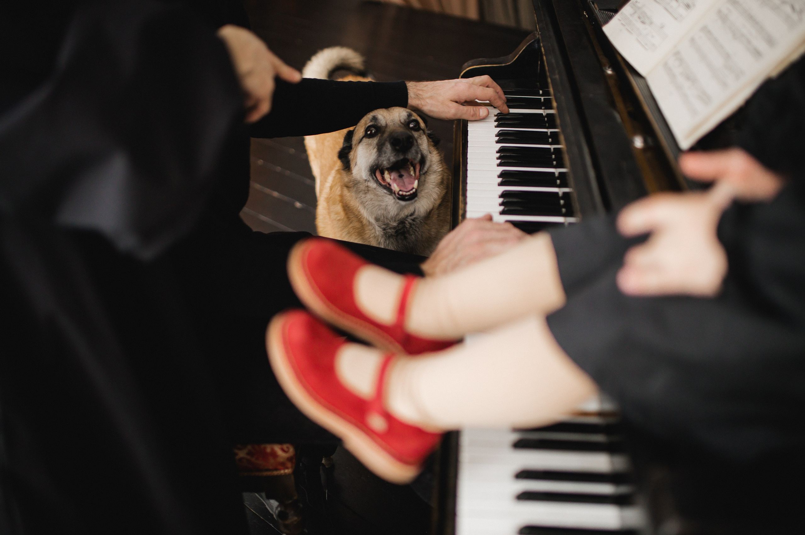 Фрида. Семейный и свадебный фотограф в Екатеринбурге Орлова Ирина