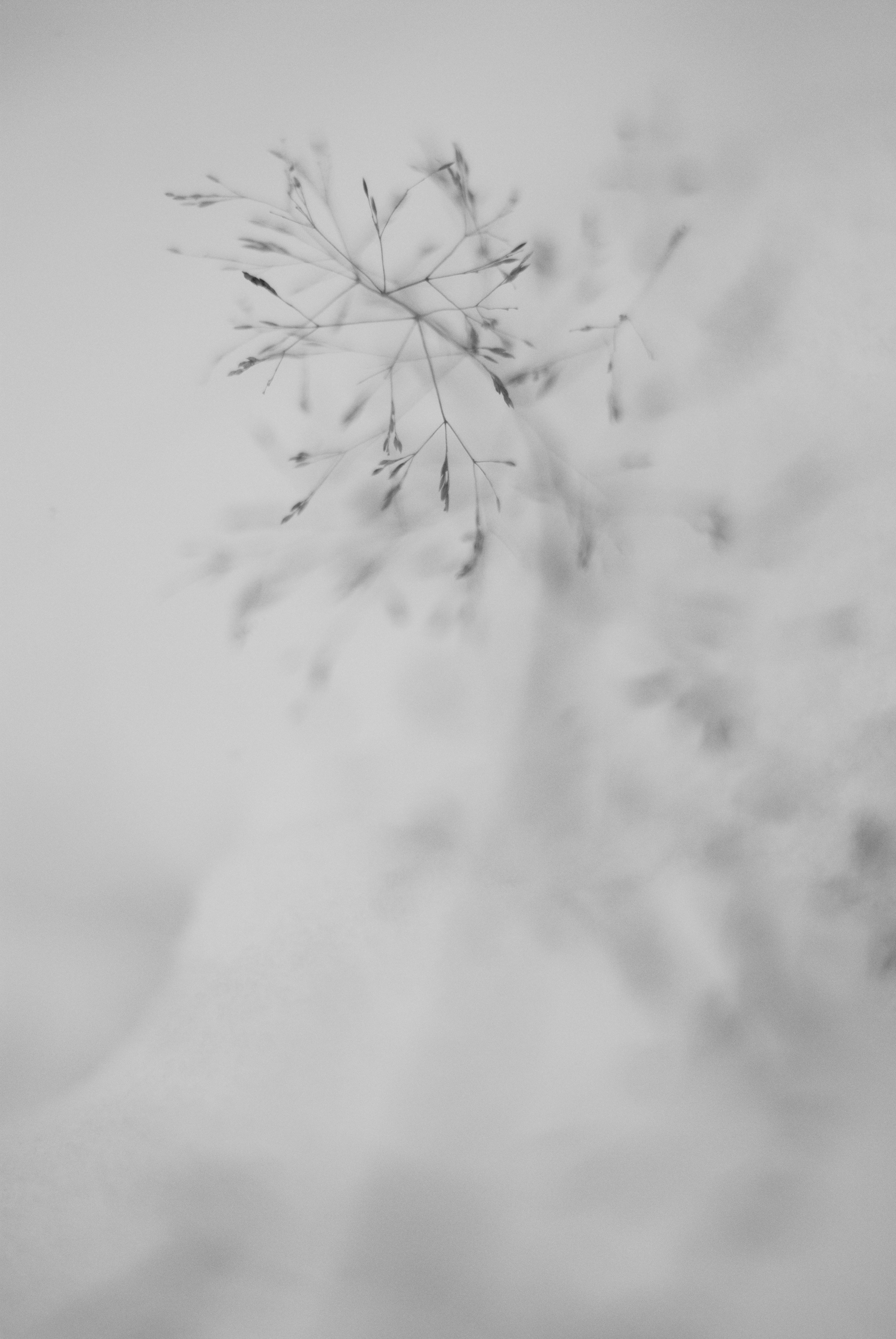 Внутривенные сны (2018-2023)