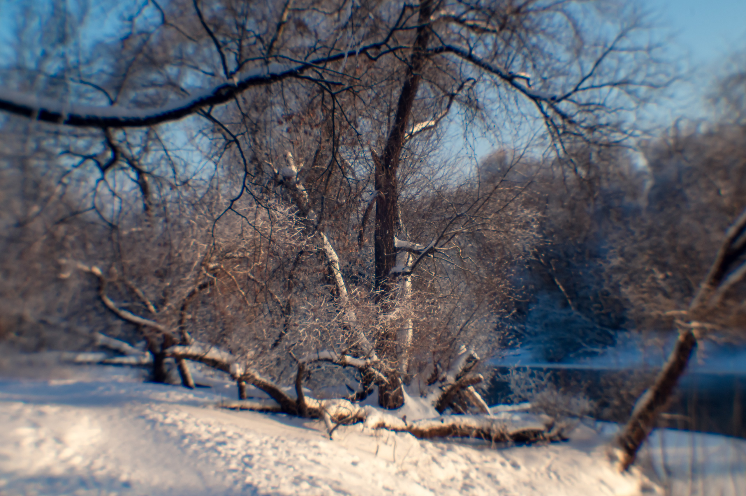 Зимушка зима. Фотограф Крещение Венчание Москва