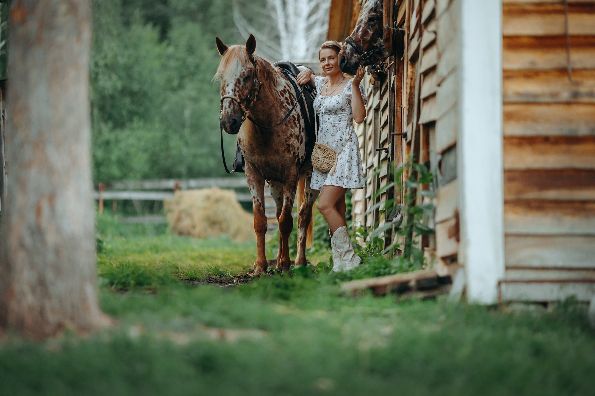 Пятнистая история. Анна Молчанова конный фотограф в Тюмени | фотосессии с лошадьми Тюмень