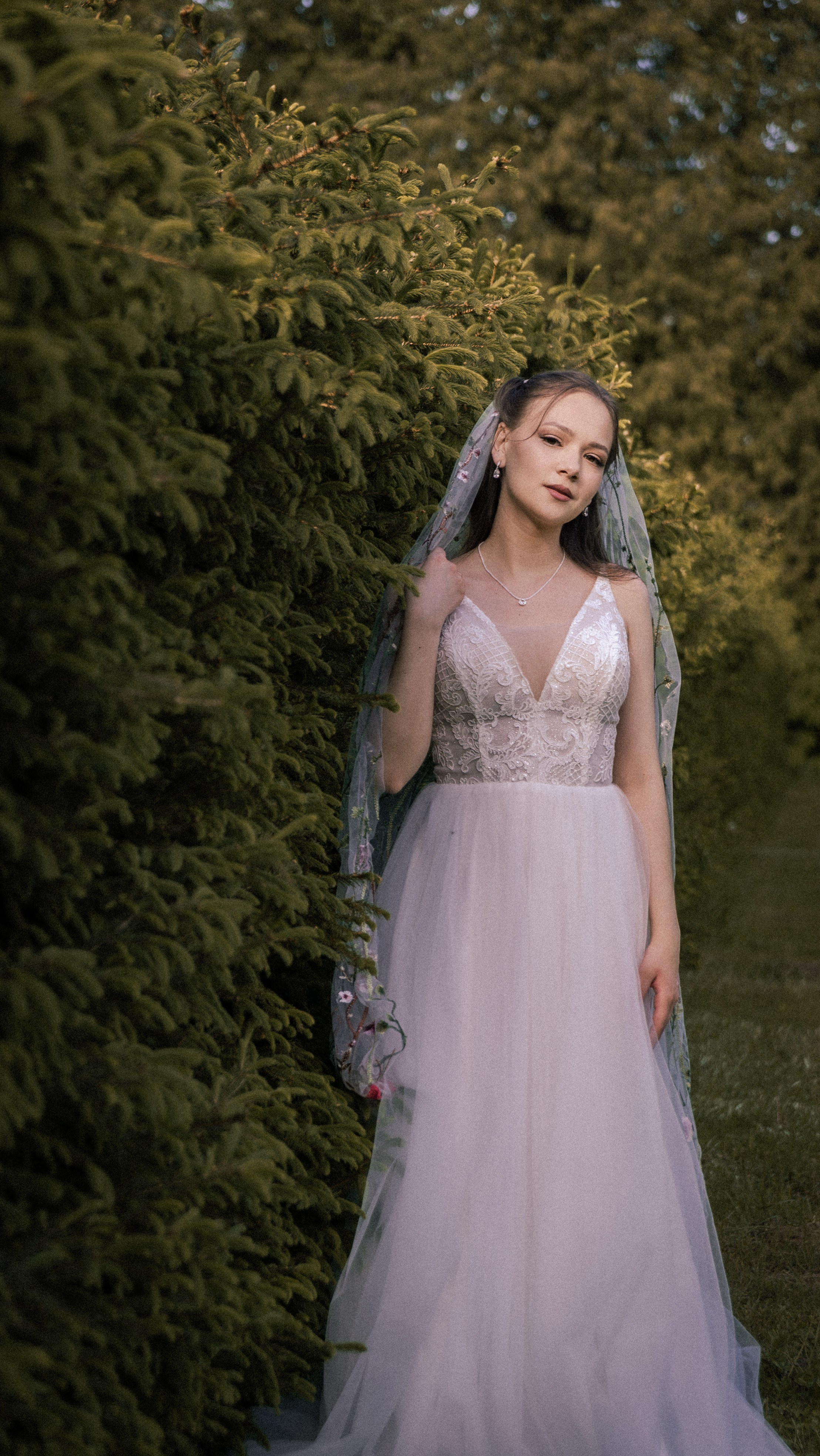 Алина и Арсений. Фотограф и видеограф Андрей Кукишев