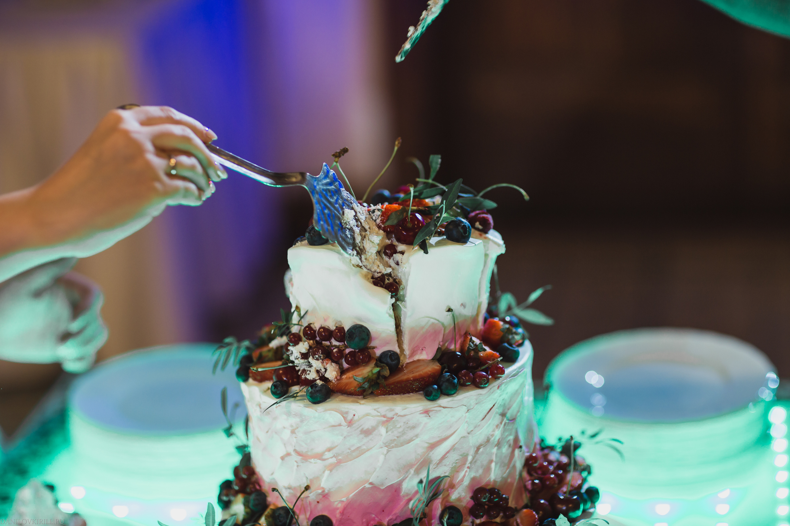 Свадебная фотосессия. Wedding photographer in California