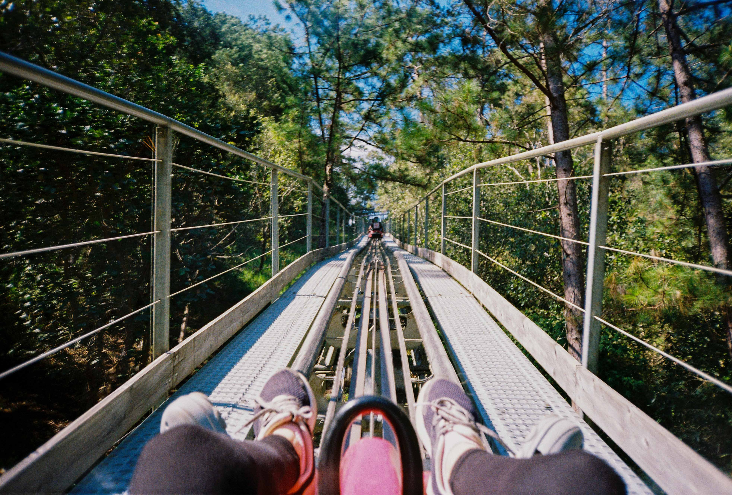 Dalat 2023. Film Photographer in Da Nang, Vietnam — Tanya Parfenteva