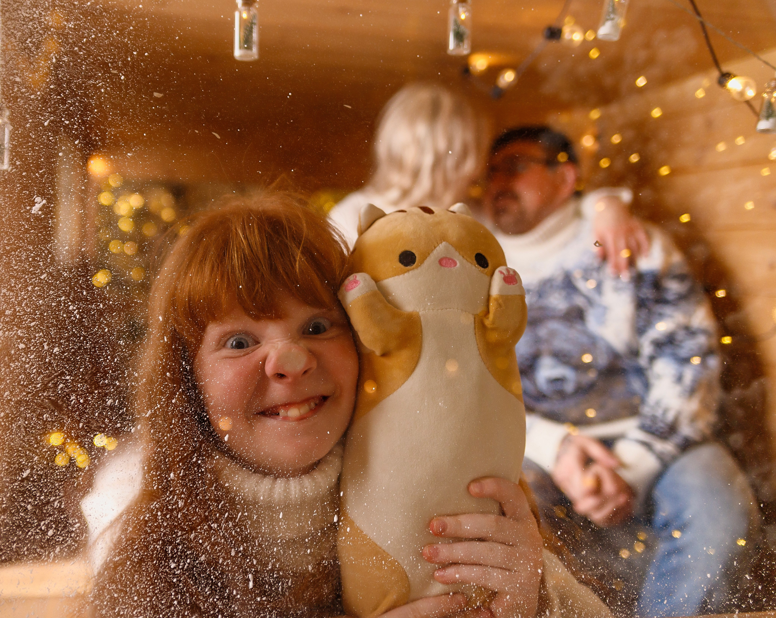 Новогодняя фотосессия. Семейный, свадебный и детский фотограф в Новосибирске Ольга Хидченко