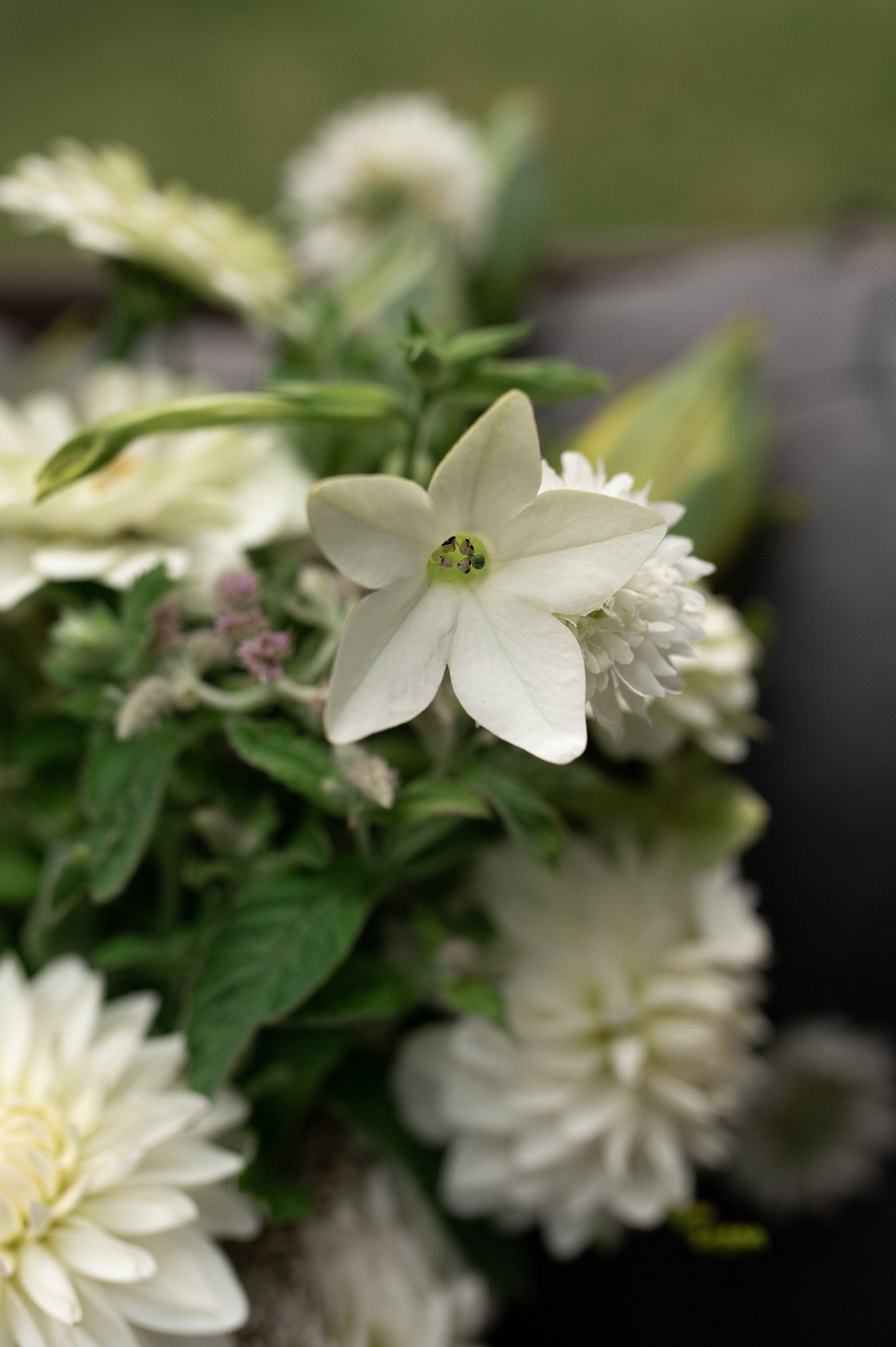 Коля & Вика. Оформление свадеб, декор свадеб Вера Маркова, Москва