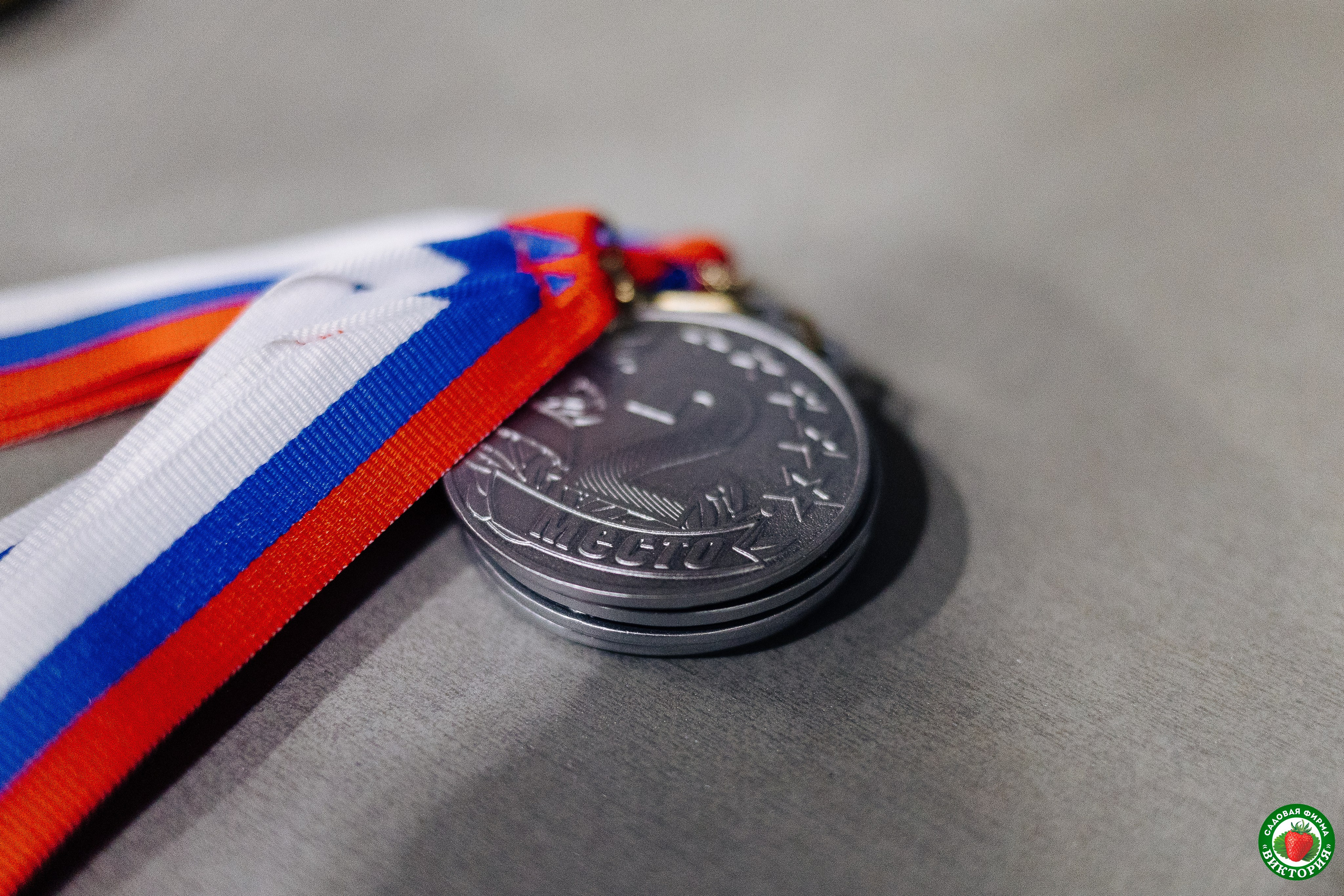 Турнир среди школьных команд 3×3, 2011–2012 гг. // 20.07.2024. Денис Прохоров Фотограф в г. Магнитогорск