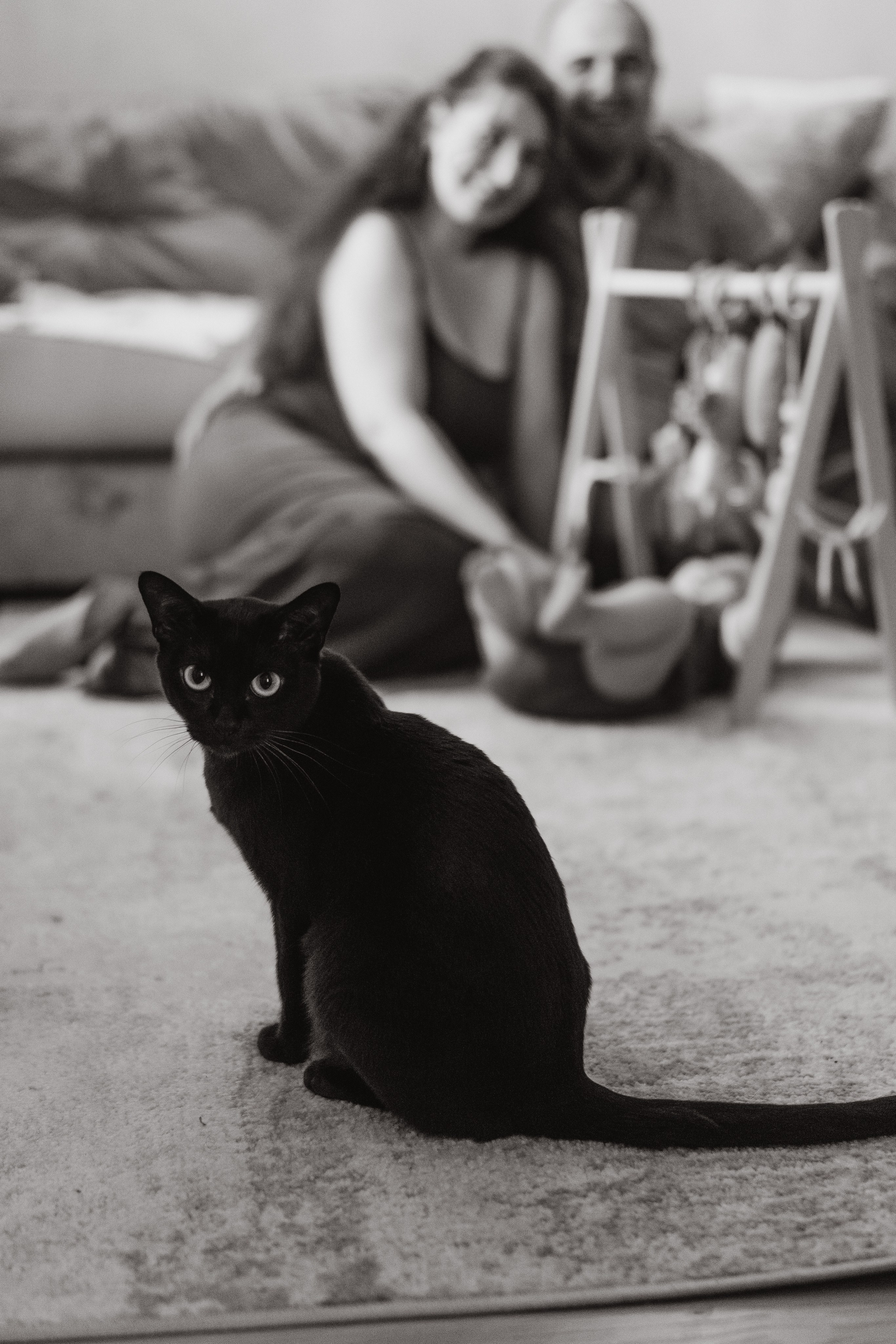 Домашняя фотосессия Роберта. Семейный, ньюборн фотограф, фотограф на роды в Москве, Виктория Тюльдюкова