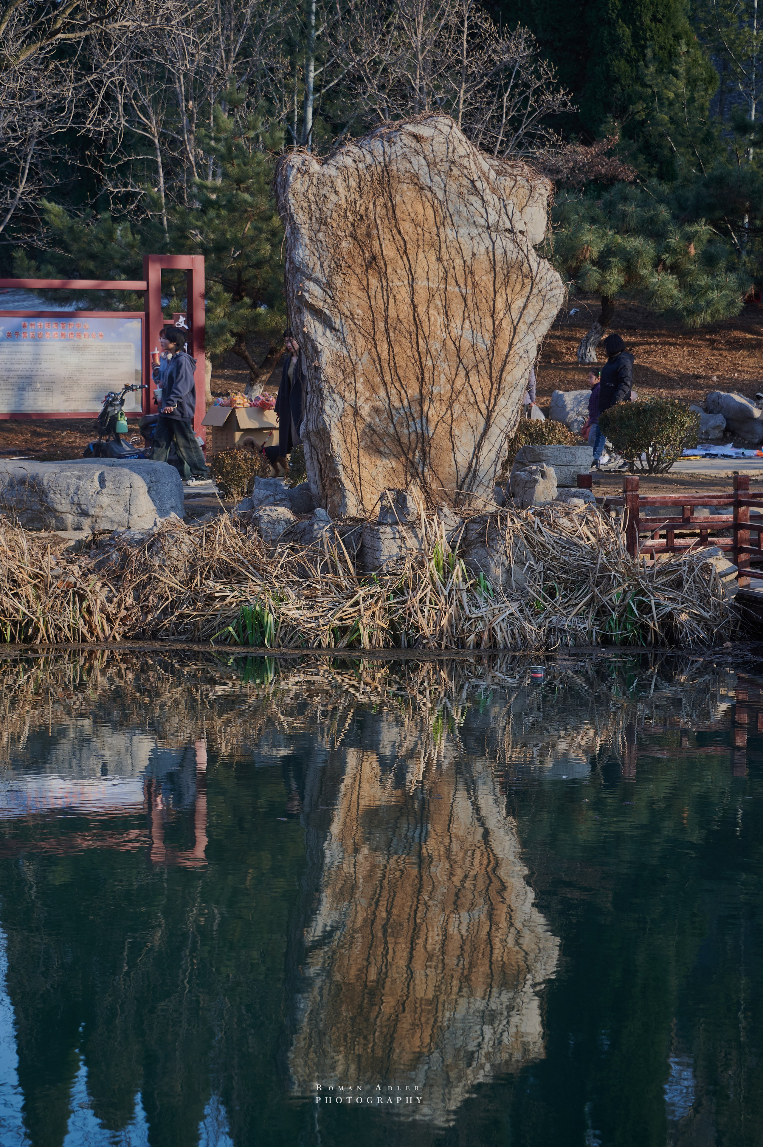 Городской парк Цинчжоу. Фотограф Роман Адлер