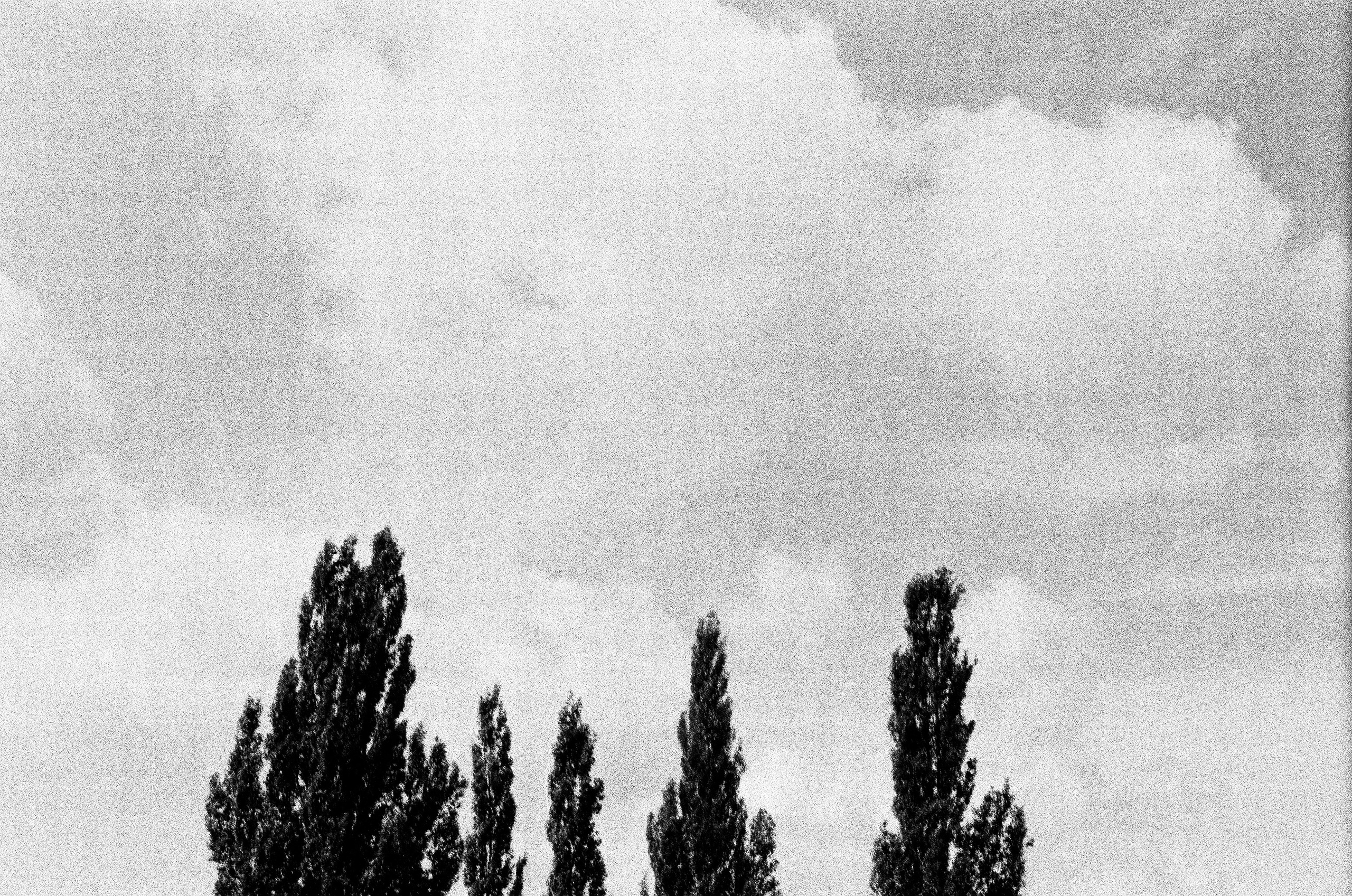 Плёнка 35/120мм. Katya Medvedeva