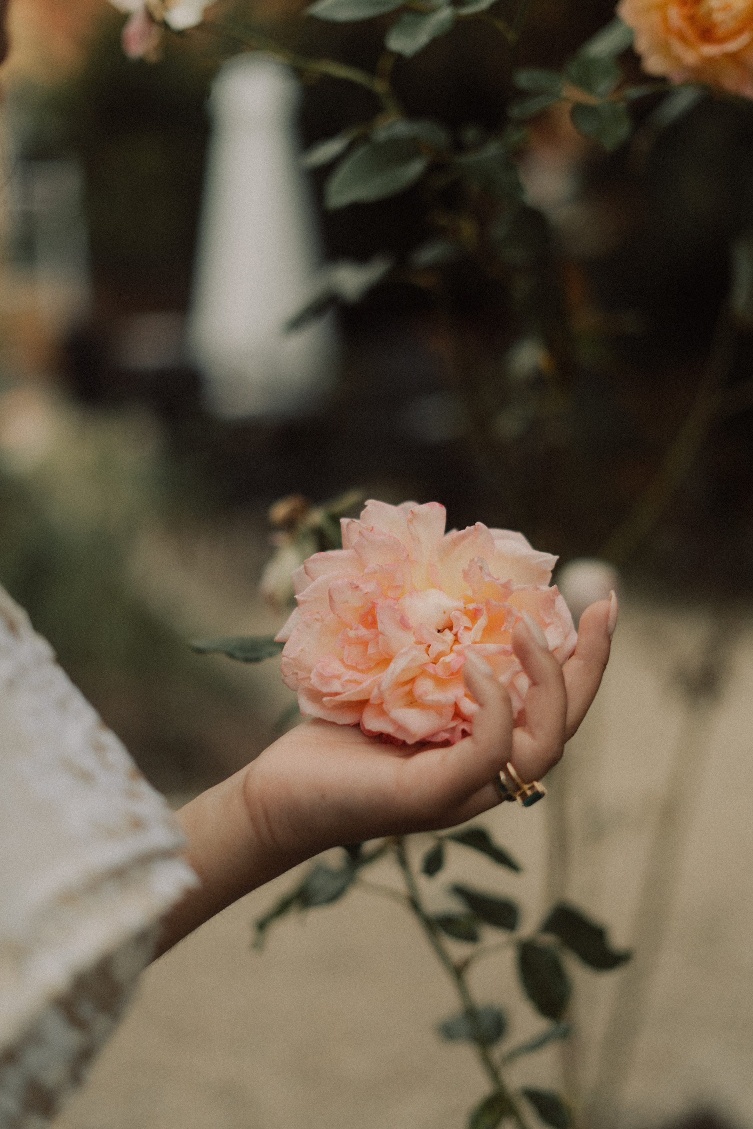 A&I, Santa Margherita