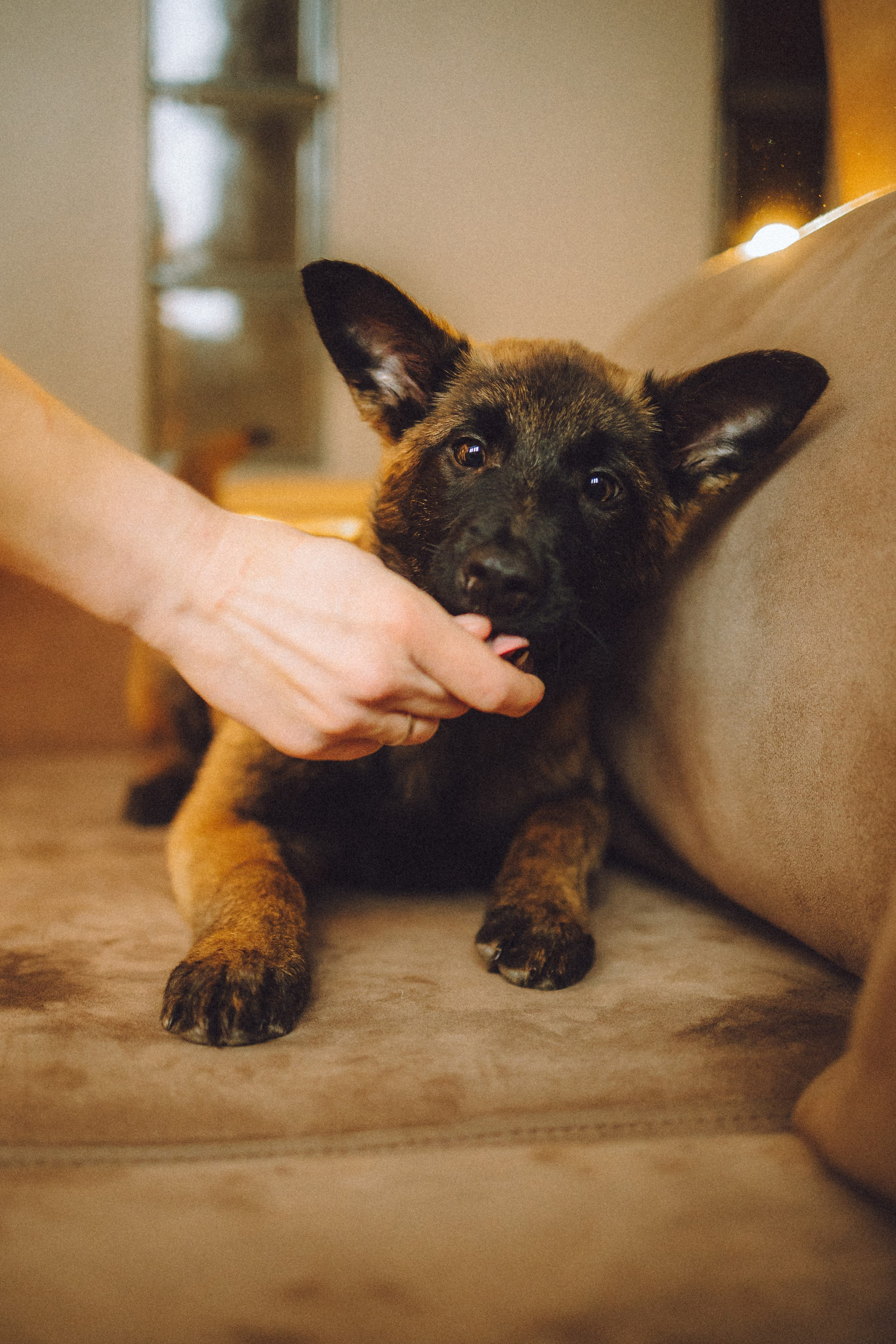 Ира, Андрей, Бэлла и Панда