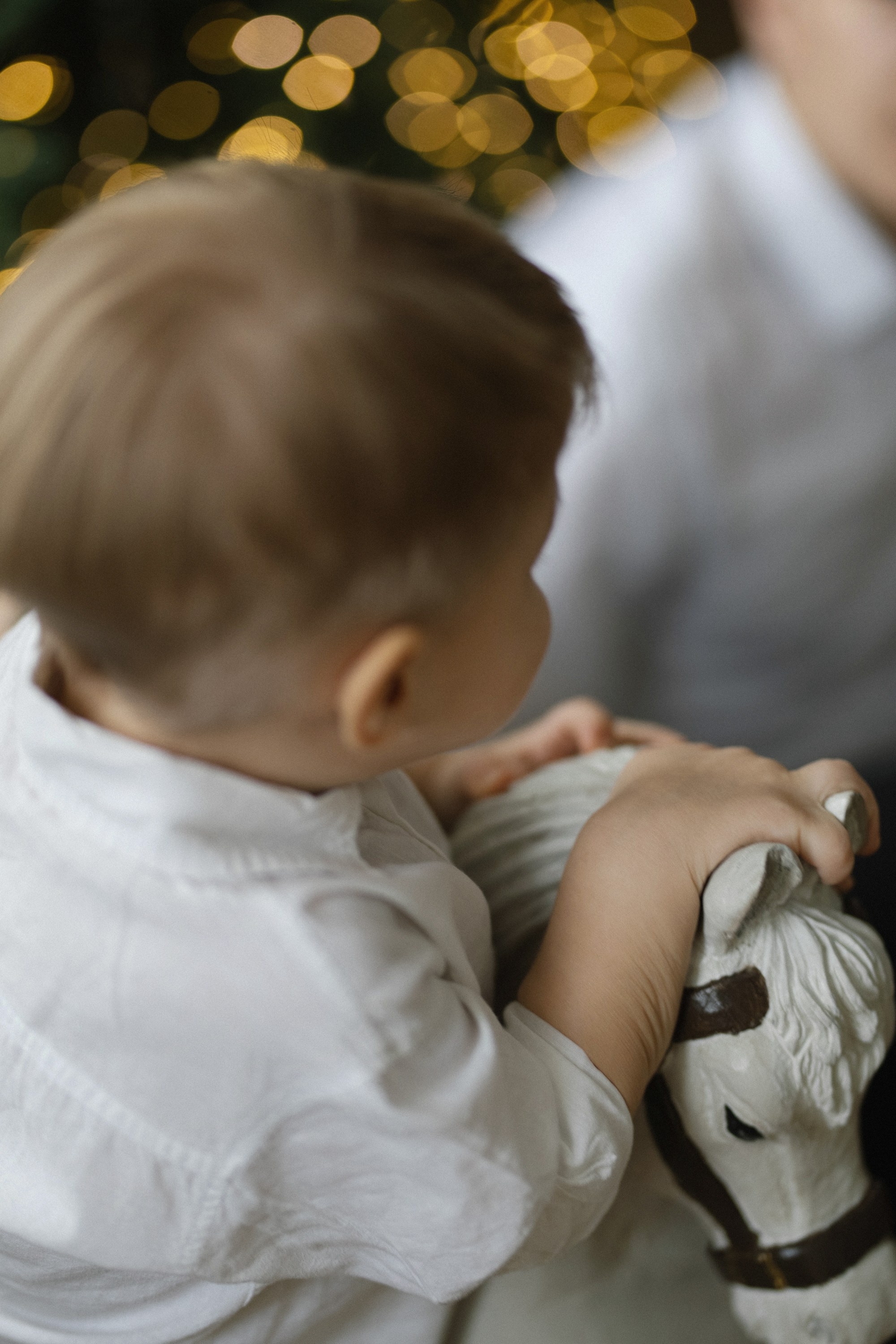 СЕМЬИ. Maria Startseva Photo