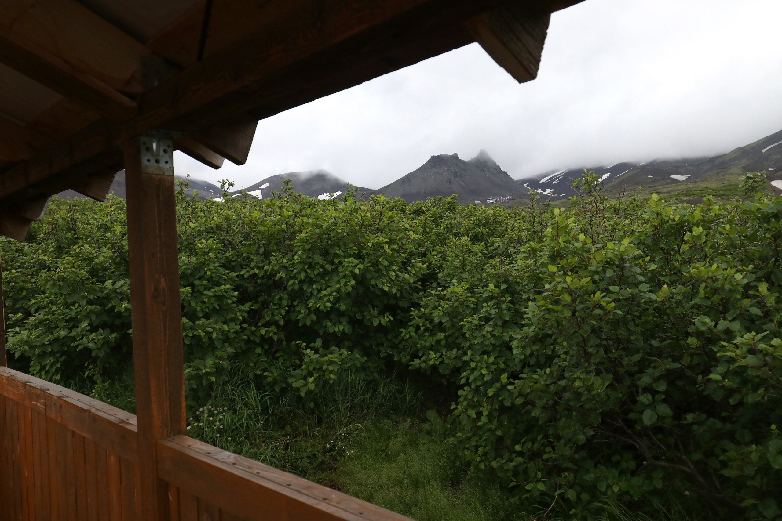 Камчатка и о. Парамушир. Июль 2024. Путешественник-фотограф из Санкт-Петербурга Татьяна Свистулина