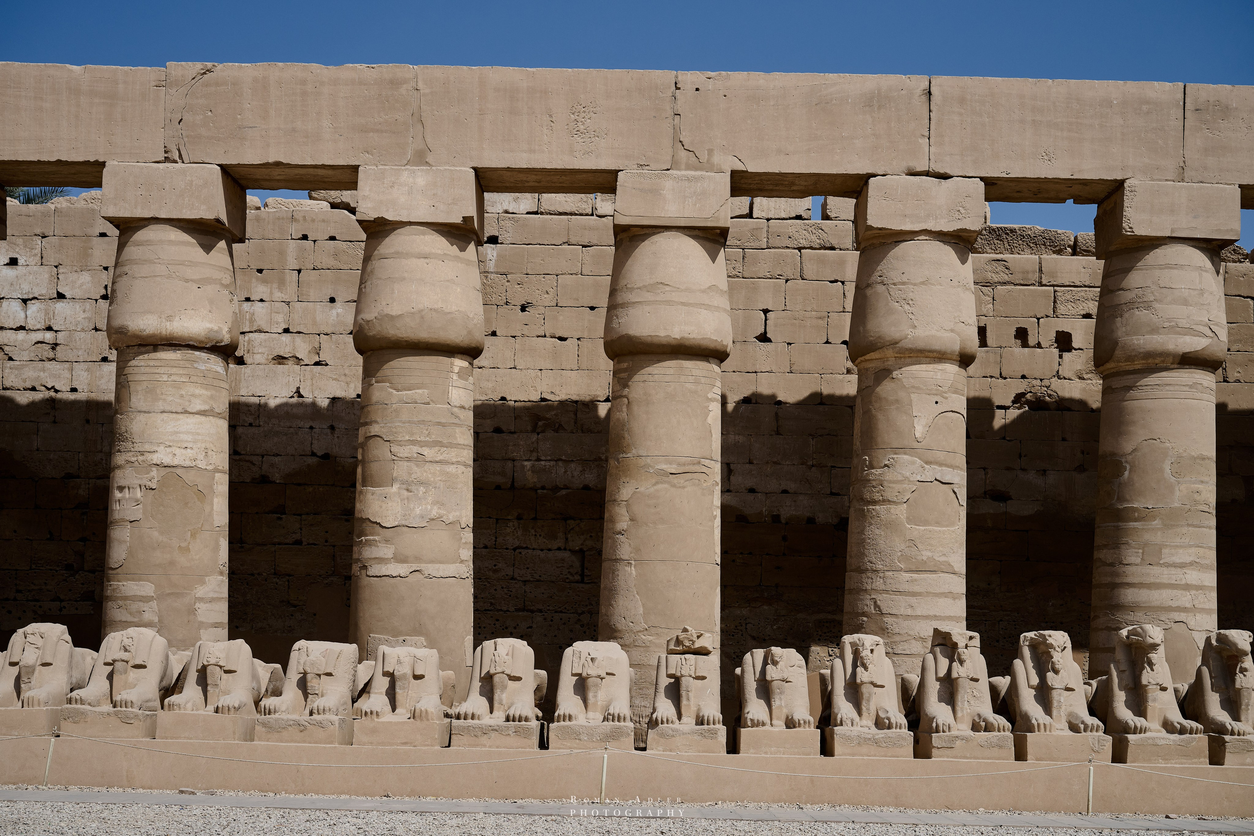 Луксор. Февраль 2025. Фотограф Роман Адлер