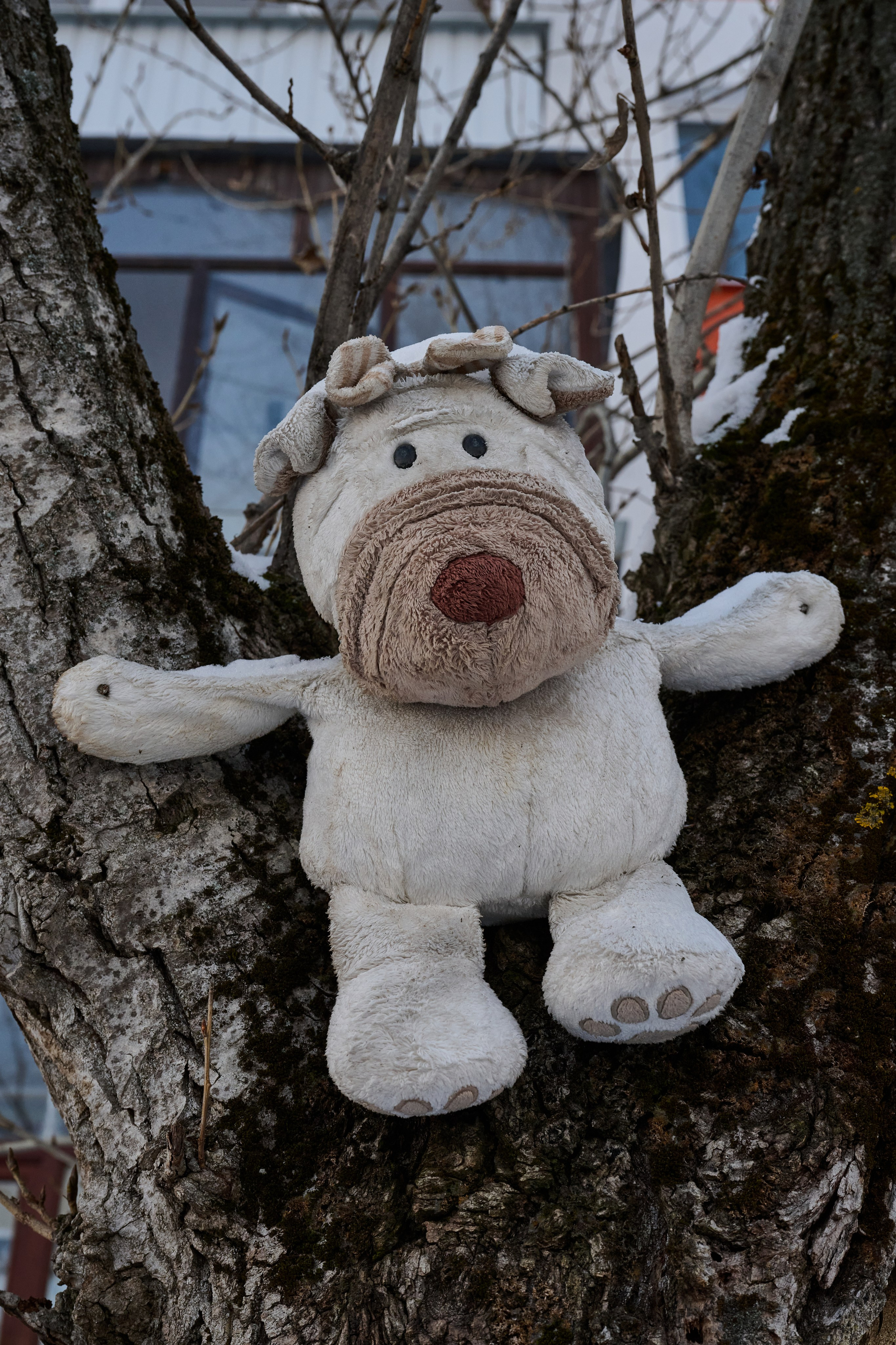 Рубежное. Январь 2026. Фотограф Роман Адлер