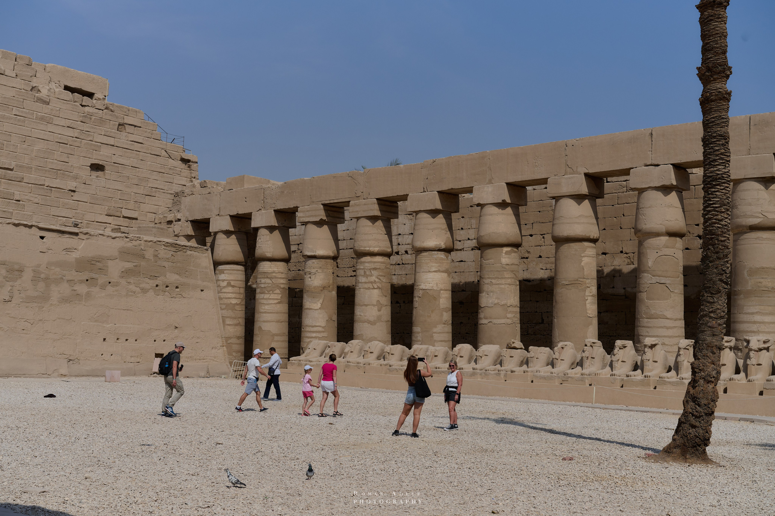 Луксор. Февраль 2025. Фотограф Роман Адлер