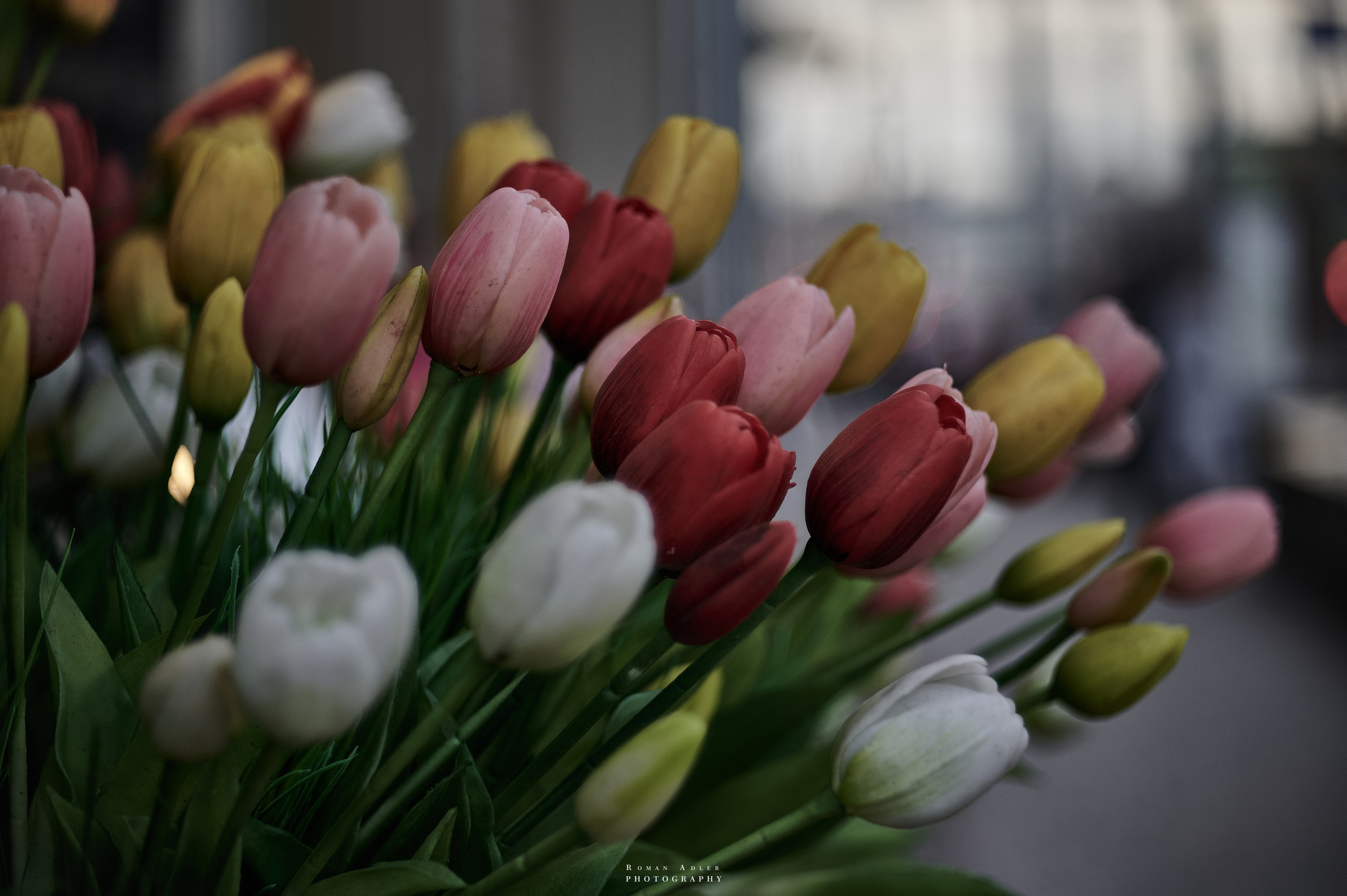 Москва. Апрель 2026. Фотограф Роман Адлер