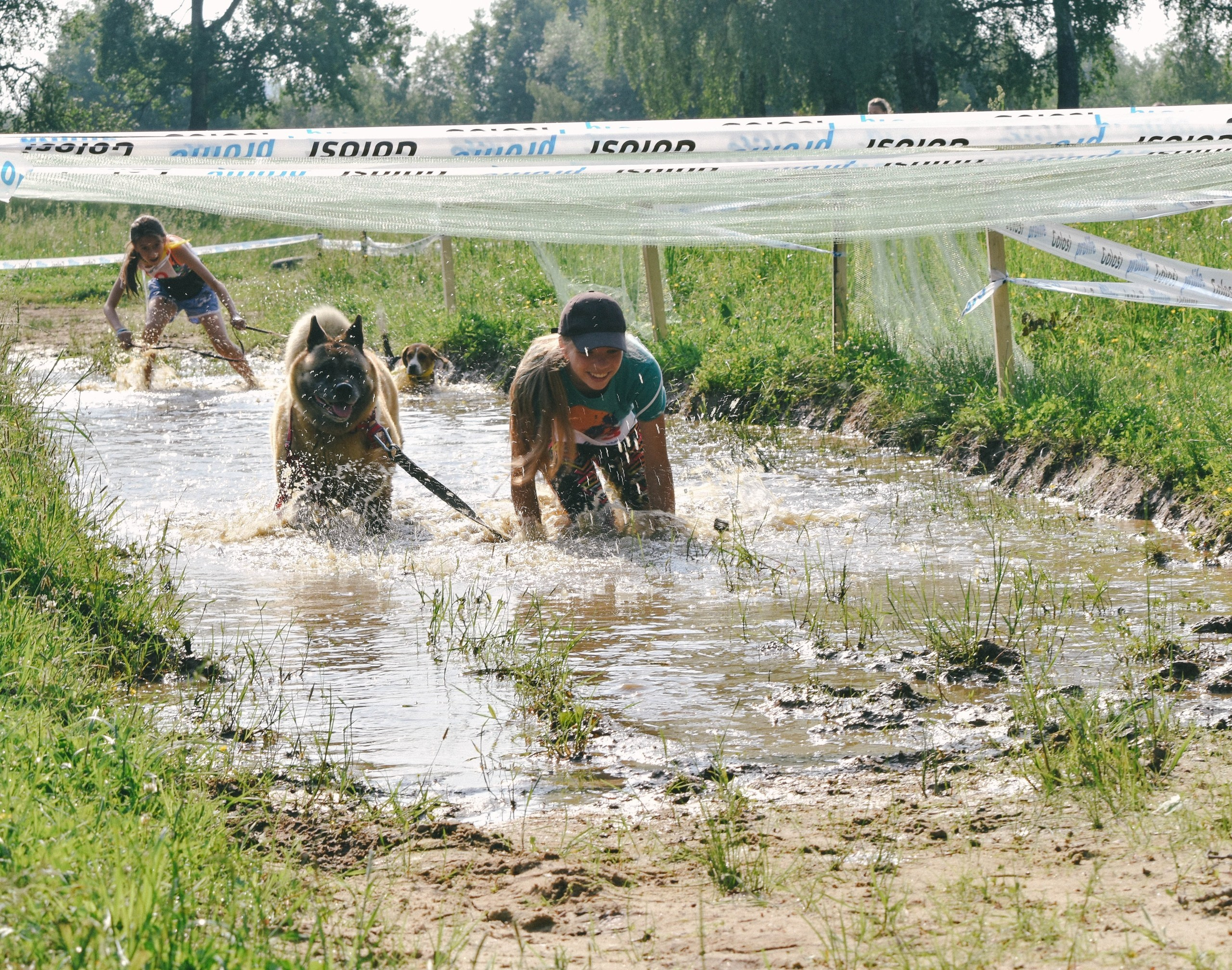 Хвостатый драйв 2019. Семейный фотограф в Москве и Севастополе Анастасия Котова